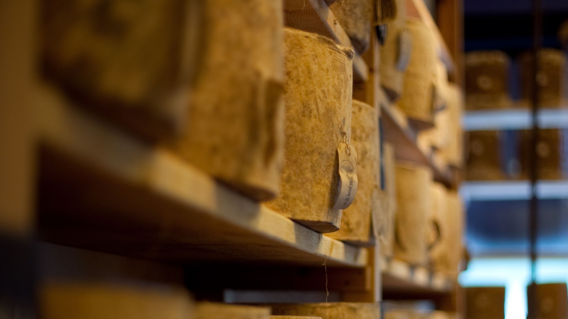 File:Stilton cheese and shower head.jpg