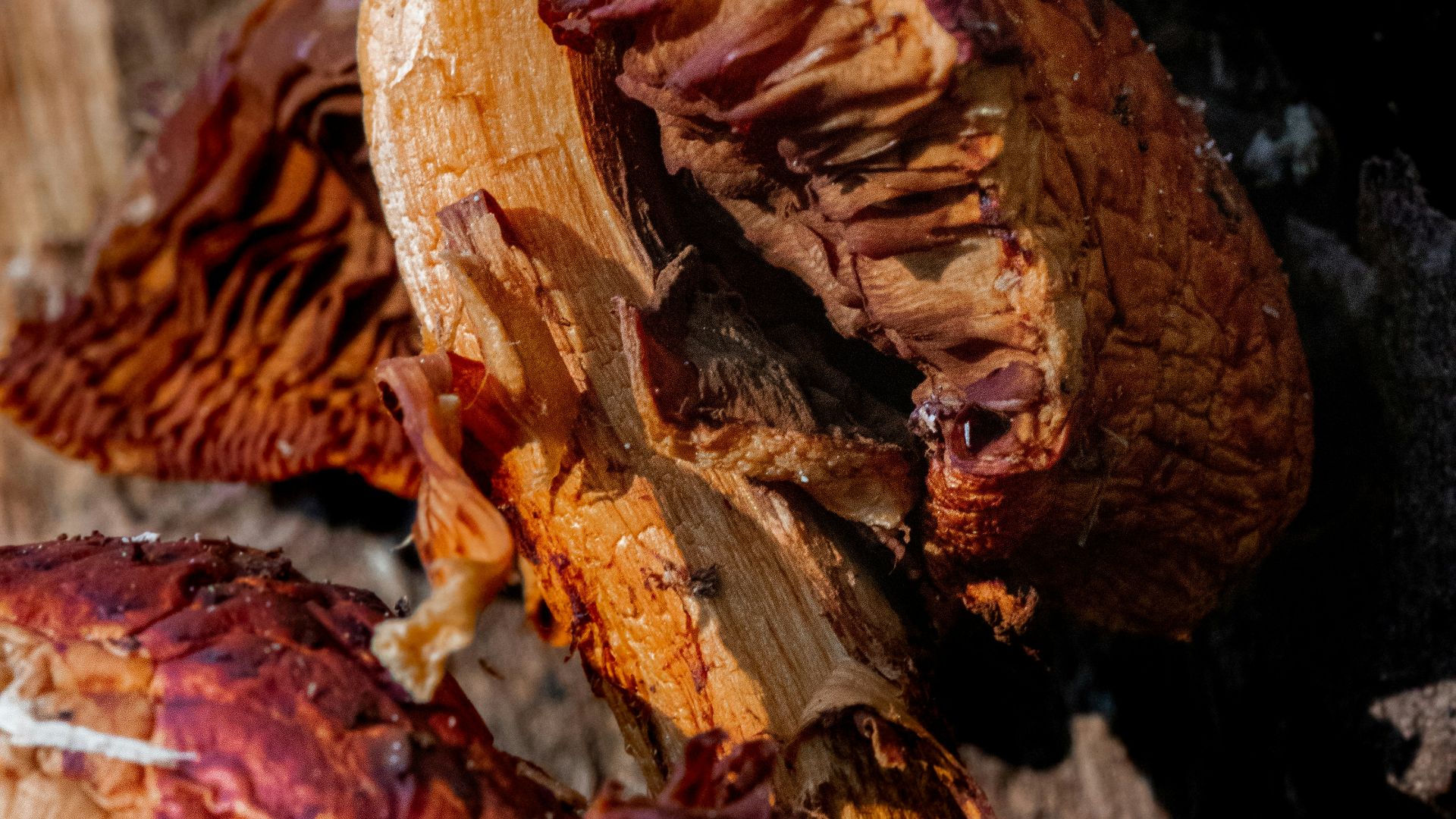 a close-up of a fire