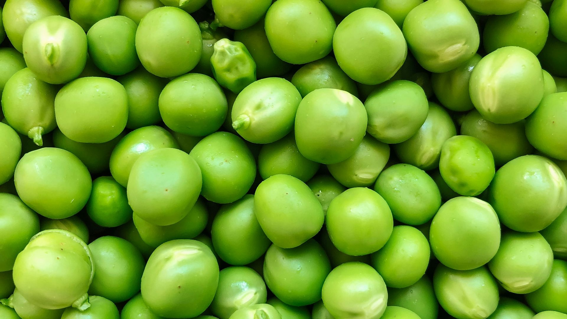 green round fruits in close up photography