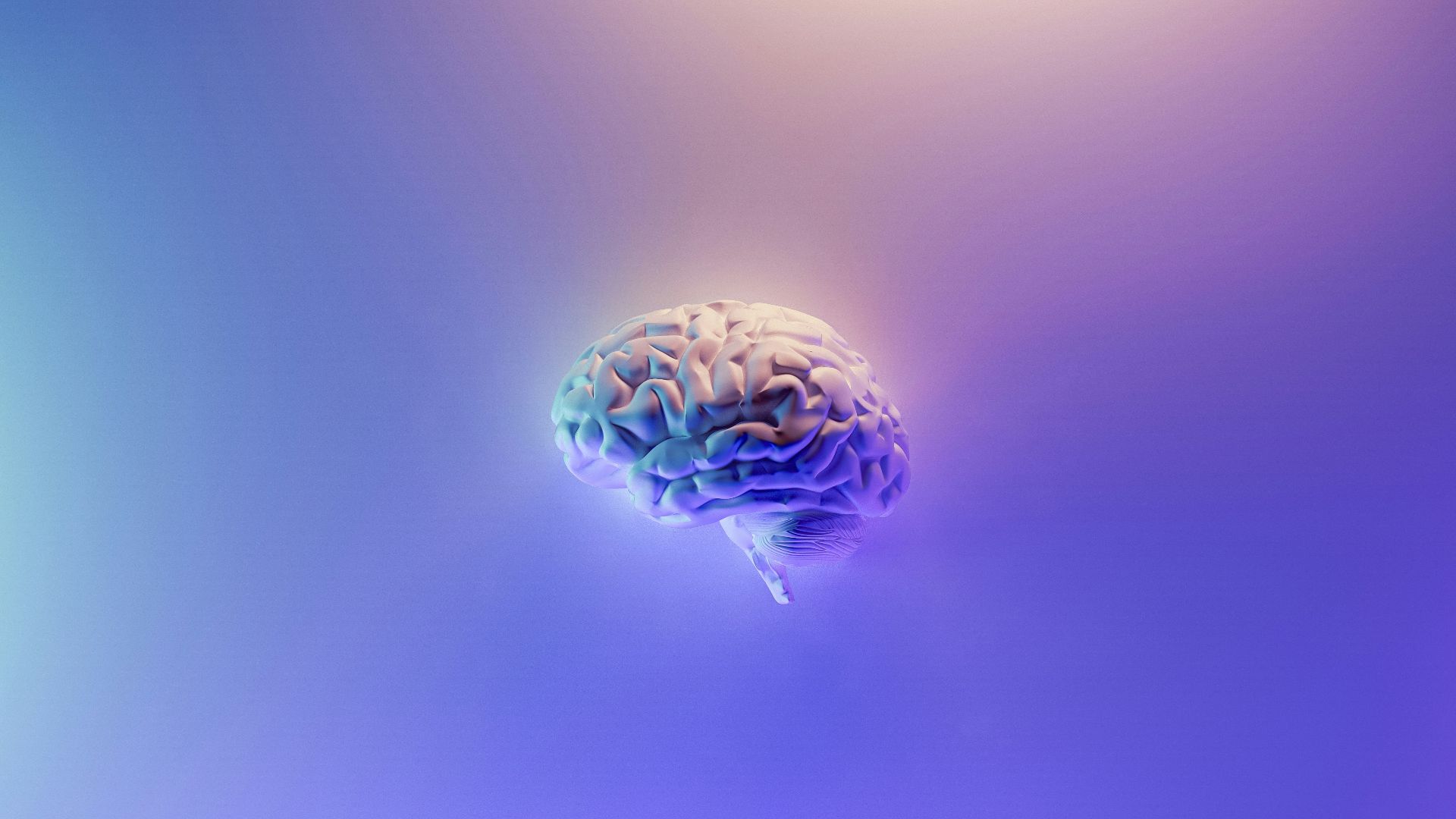 blue and green peacock feather