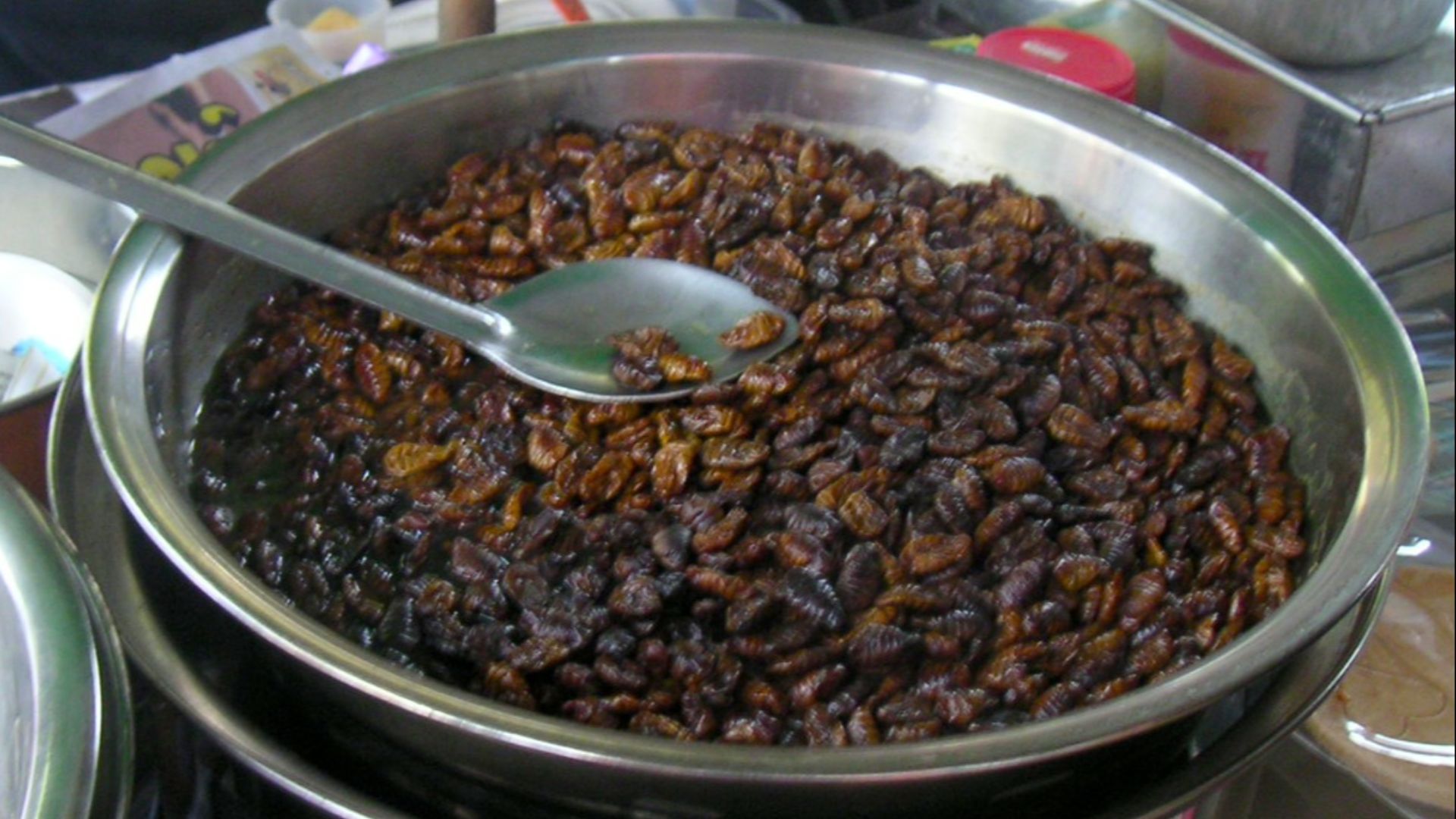 File:Beondegi Korean cuisine - June 12 2005.jpg