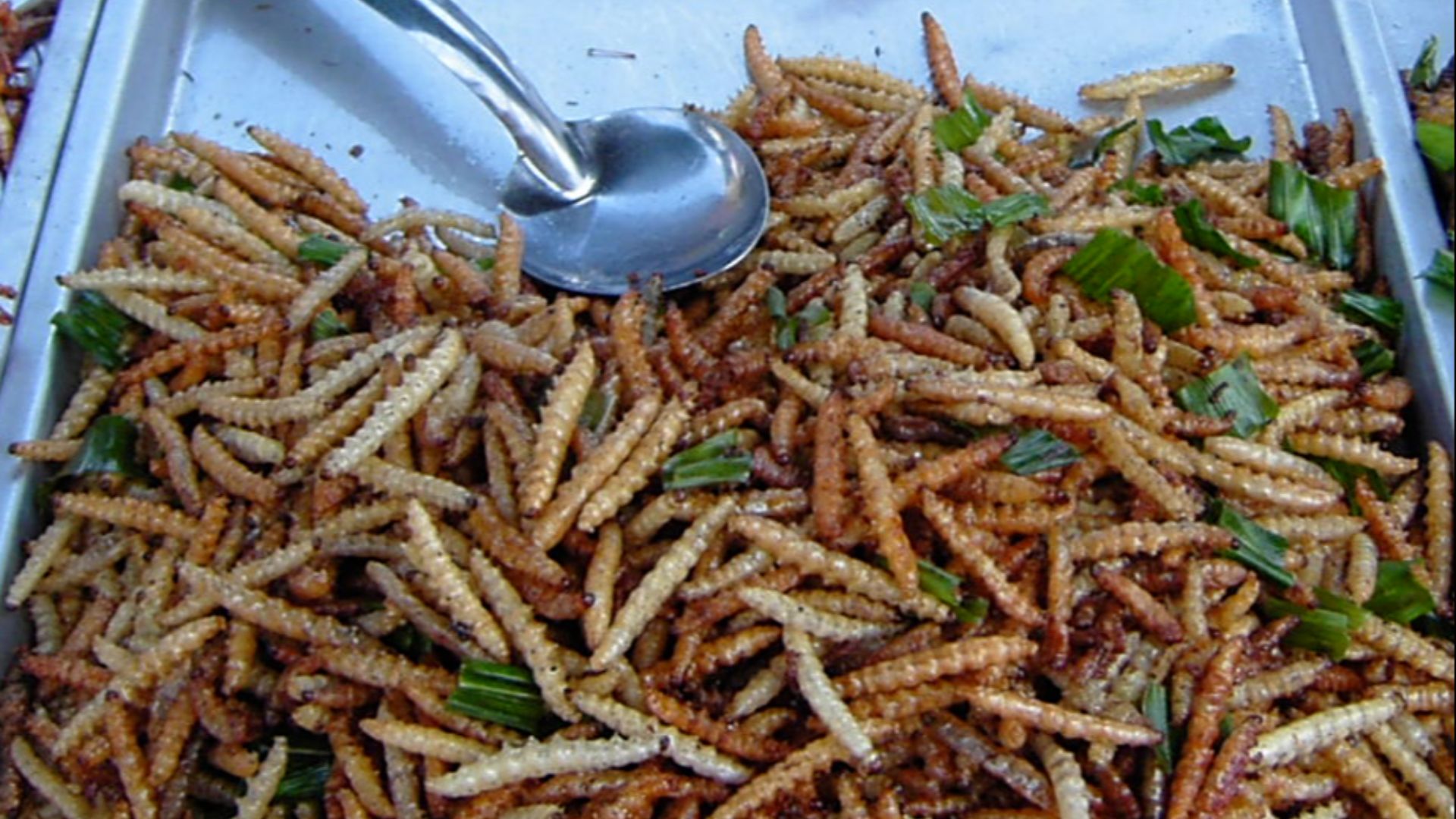 File:Bamboo worms on plate.png
