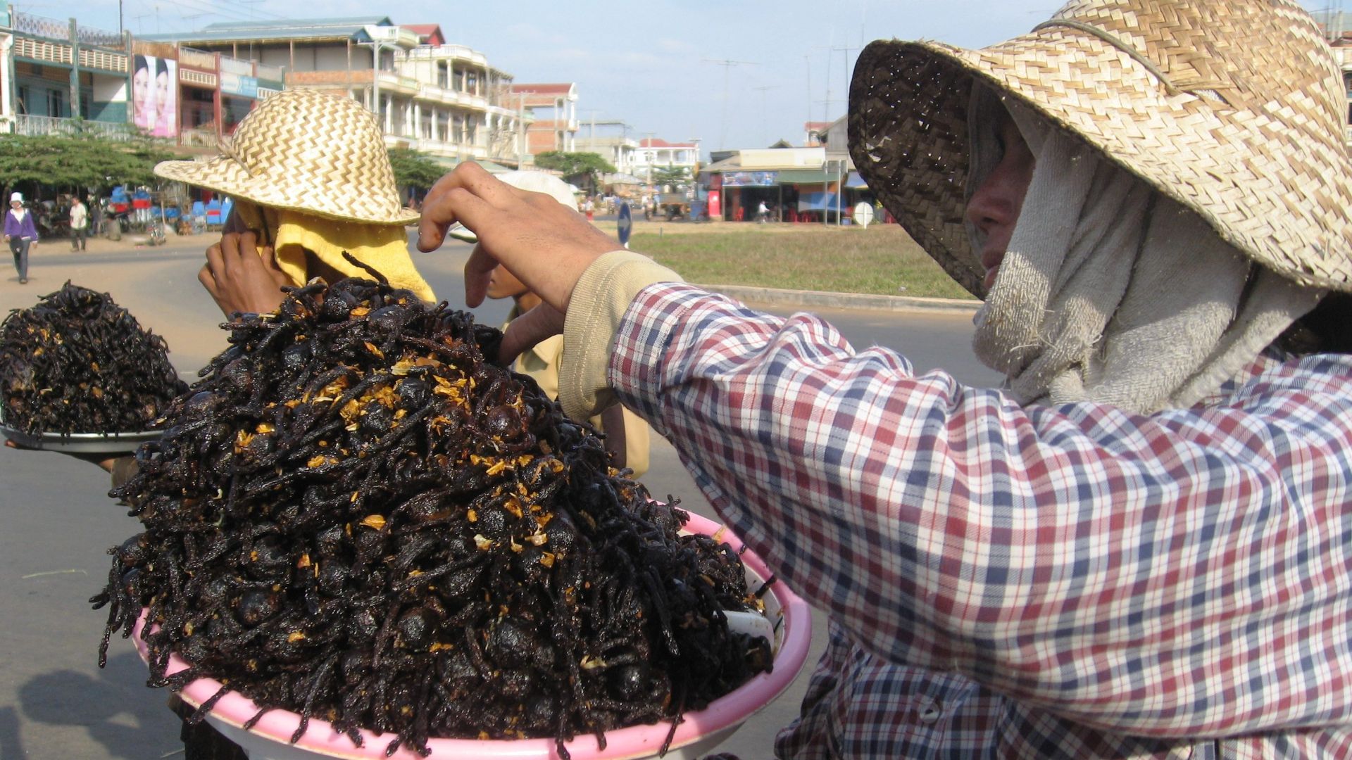 File:Fried tarantula Cambodia.jpg