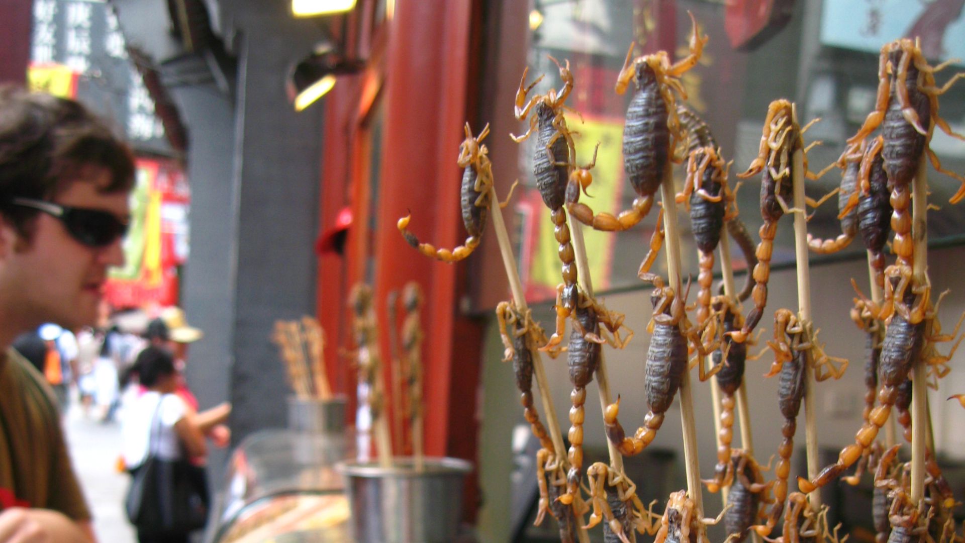 File:Scorpions on Wangfujing Dajie snack street in Beijing.jpg