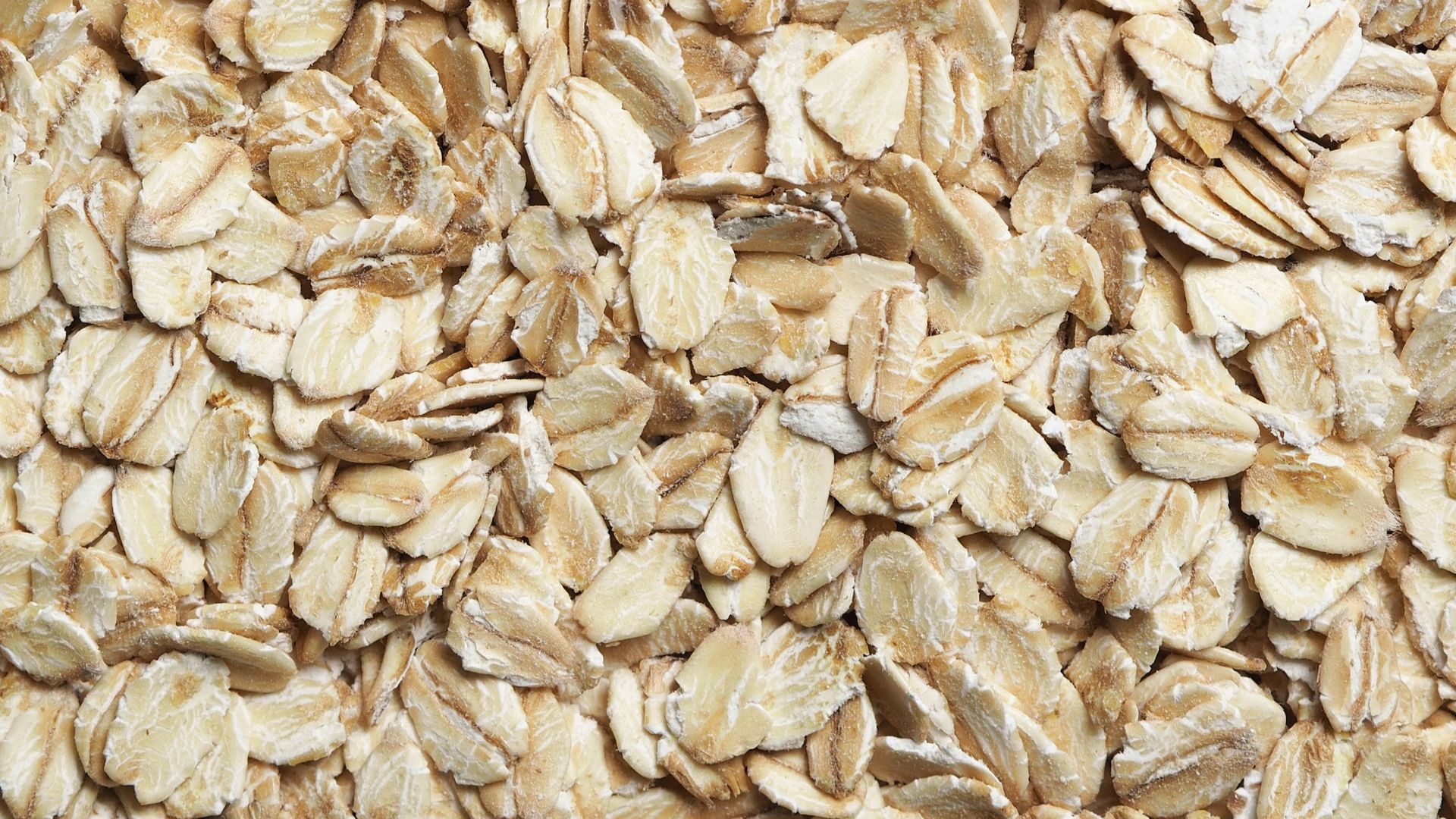 brown dried leaves on ground