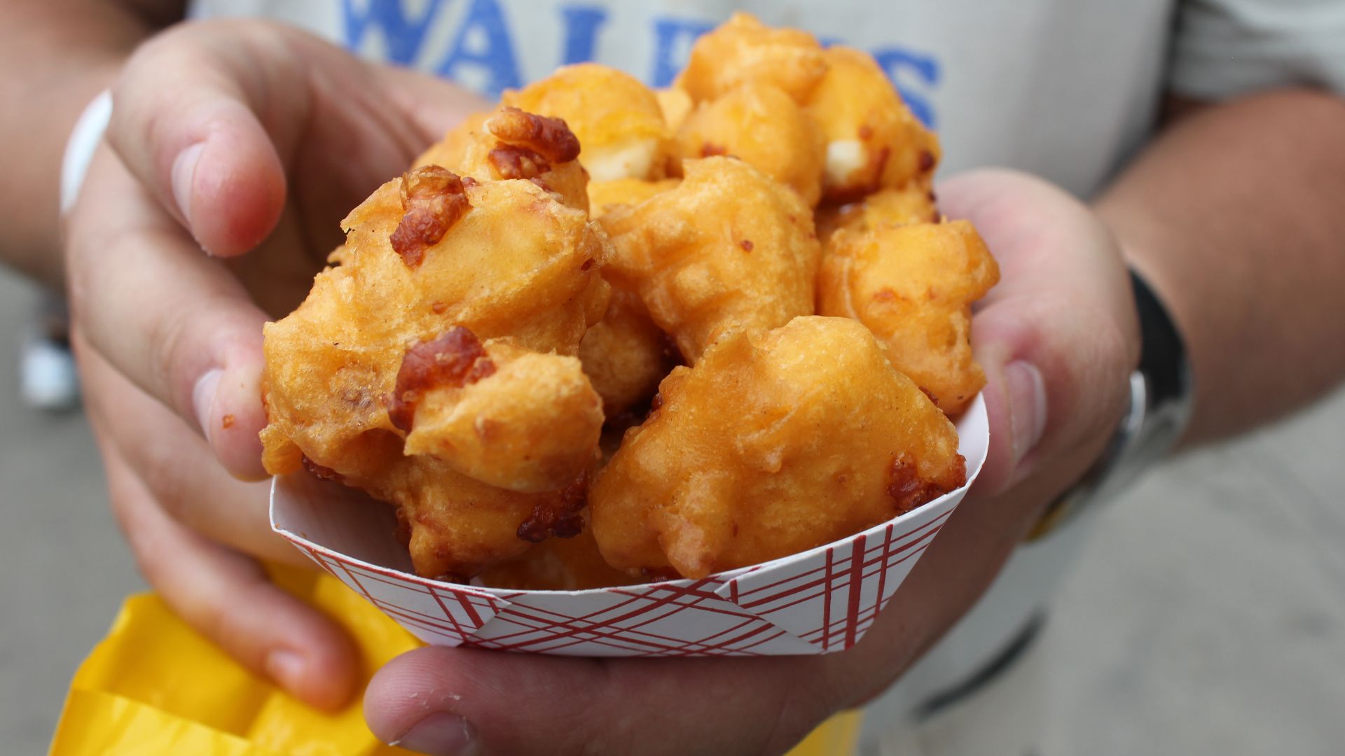 File:Fried cheese curds (6043329993).jpg