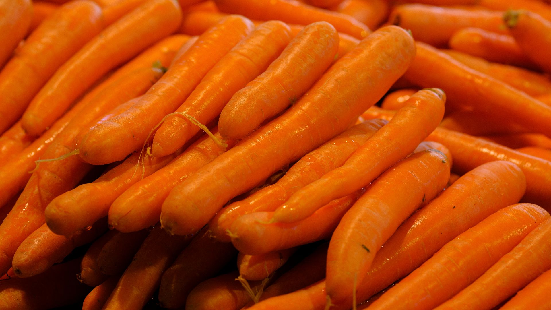 a pile of carrots sitting next to each other