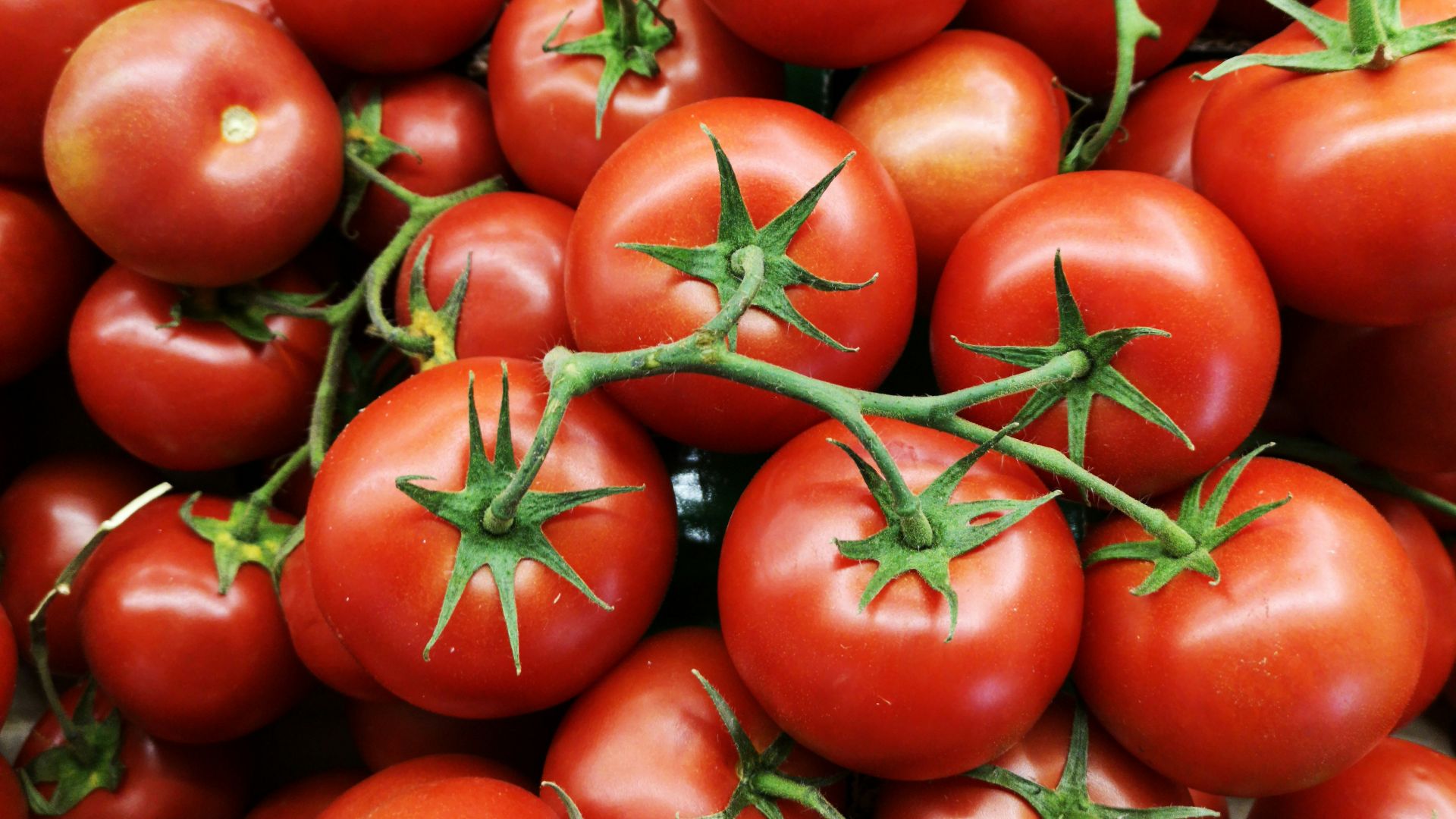 red tomatoes on brown wooden table