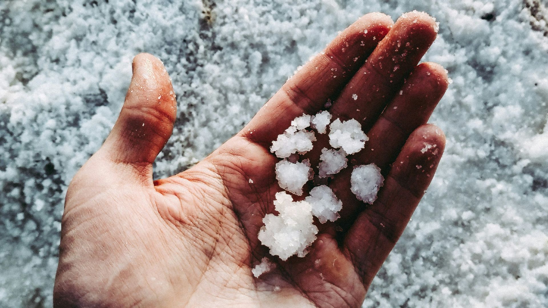 white stones on persons hand