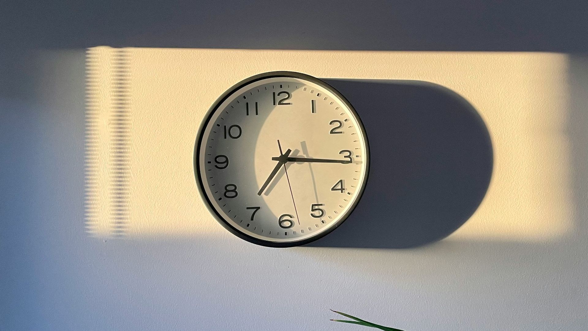 a clock on a wall with a plant next to it