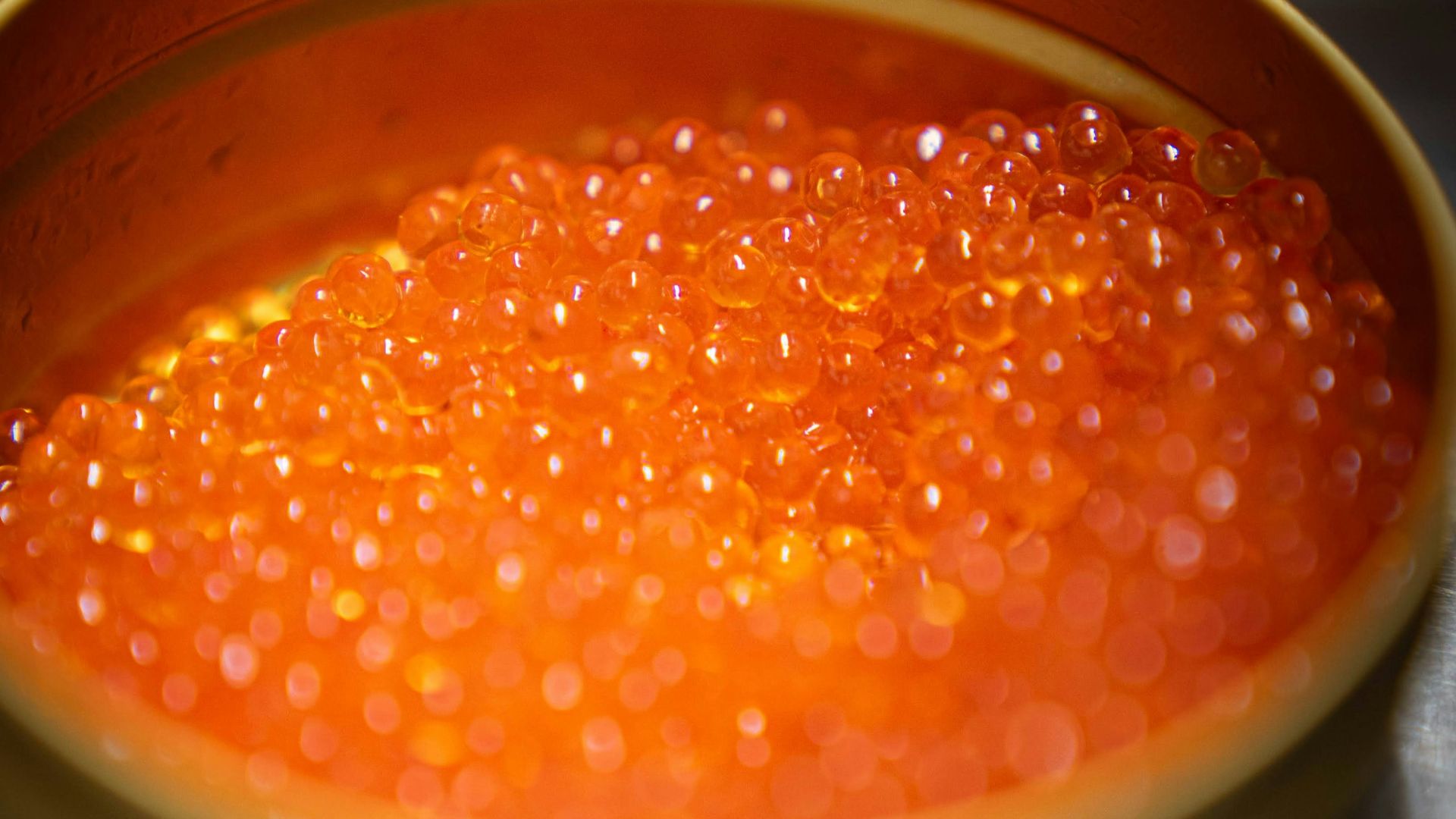 Close-up of bright orange salmon roe in a tin.