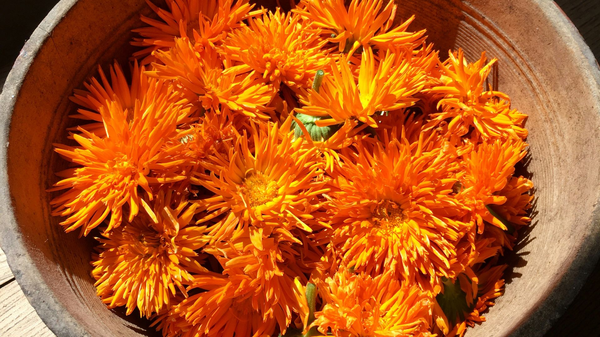 a bowl filled with orange flowers on top of a wooden table