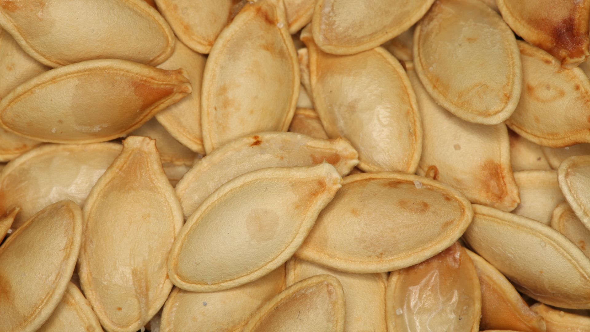 File:Pumpkin Seeds macro 1.jpg