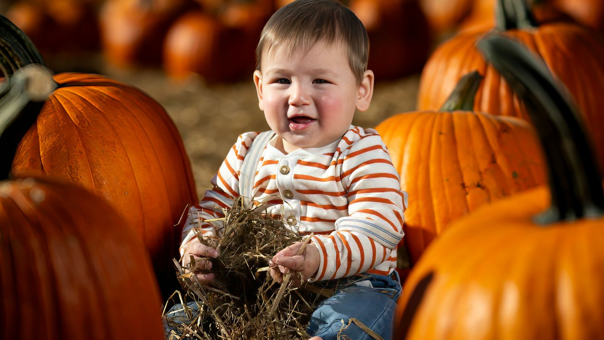 A baby sitting in a field of pumpkins