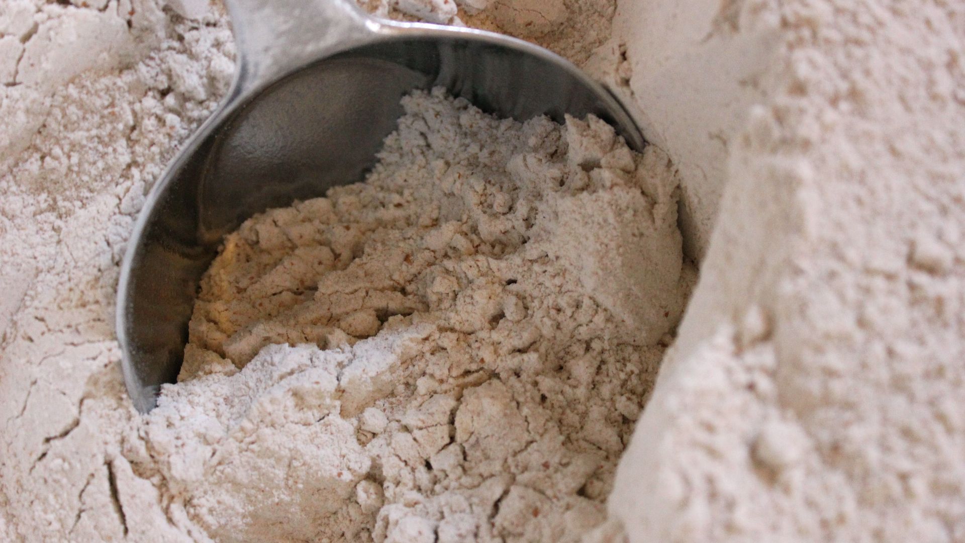 File:Whole wheat grain flour being scooped.jpg