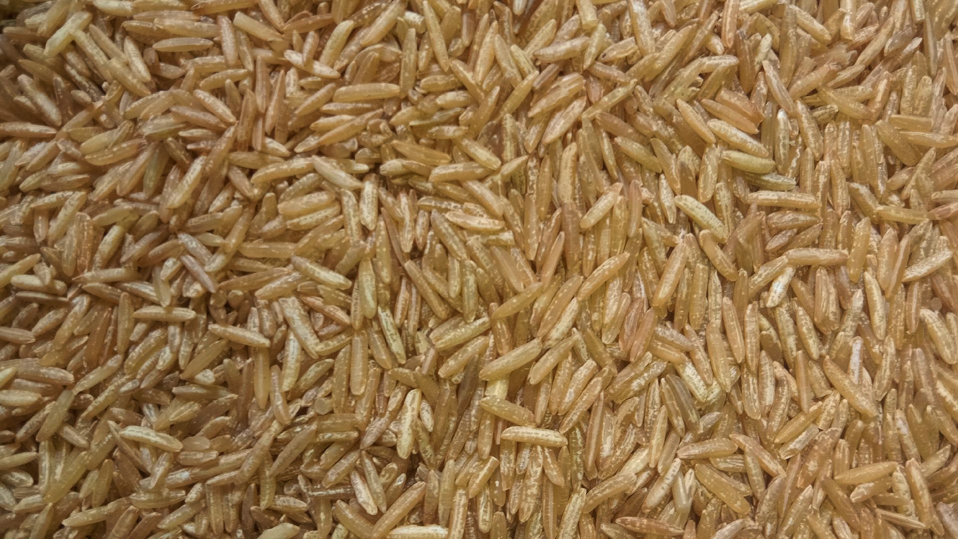 File:Brown rice (whole grain rice) photographed in West Bengal, India.jpg