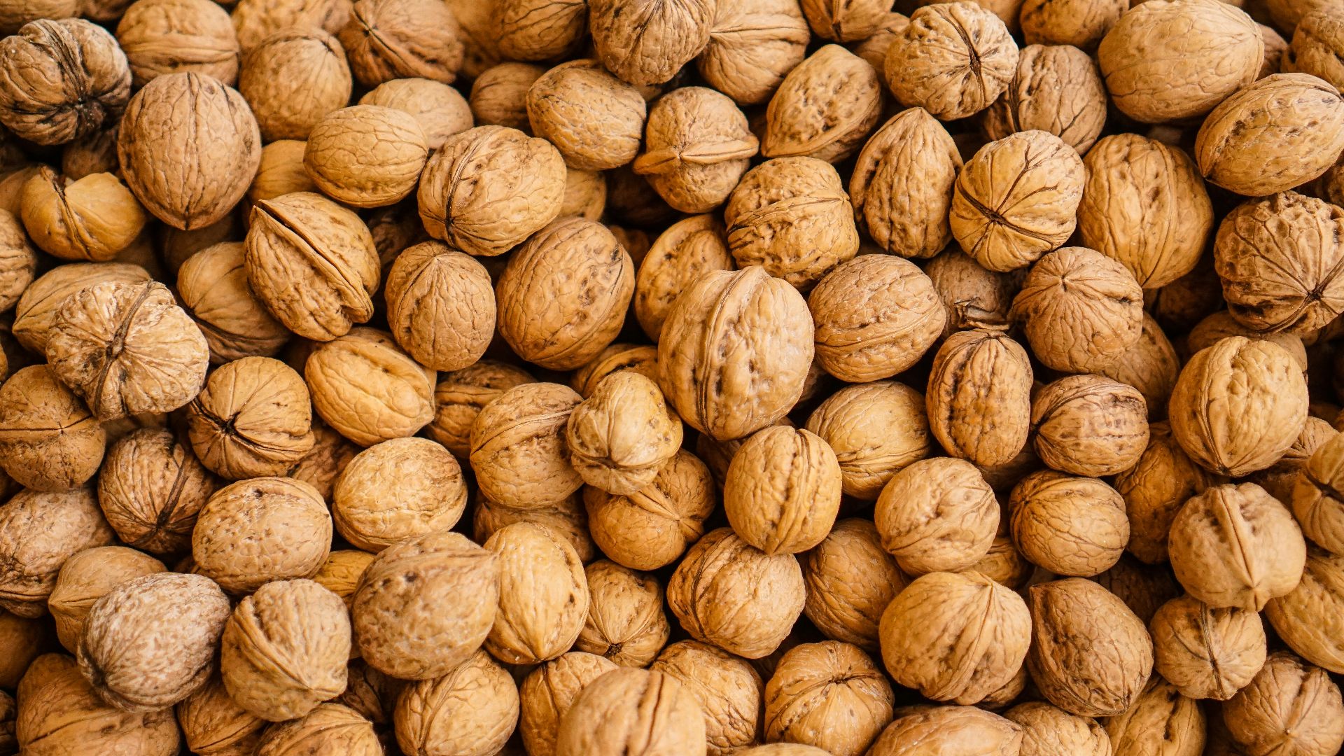 closeup photography of walnuts