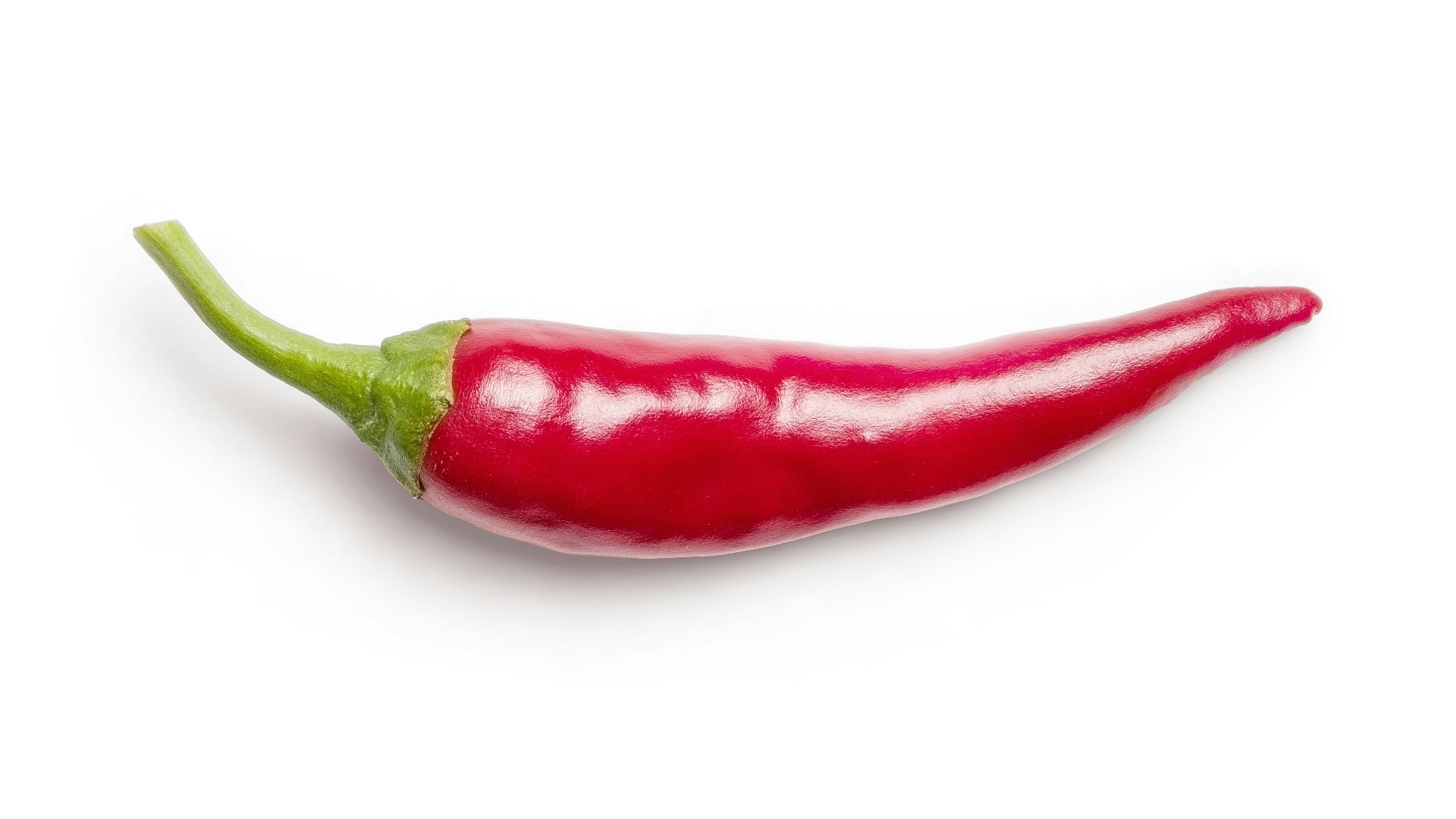 red chili on white background