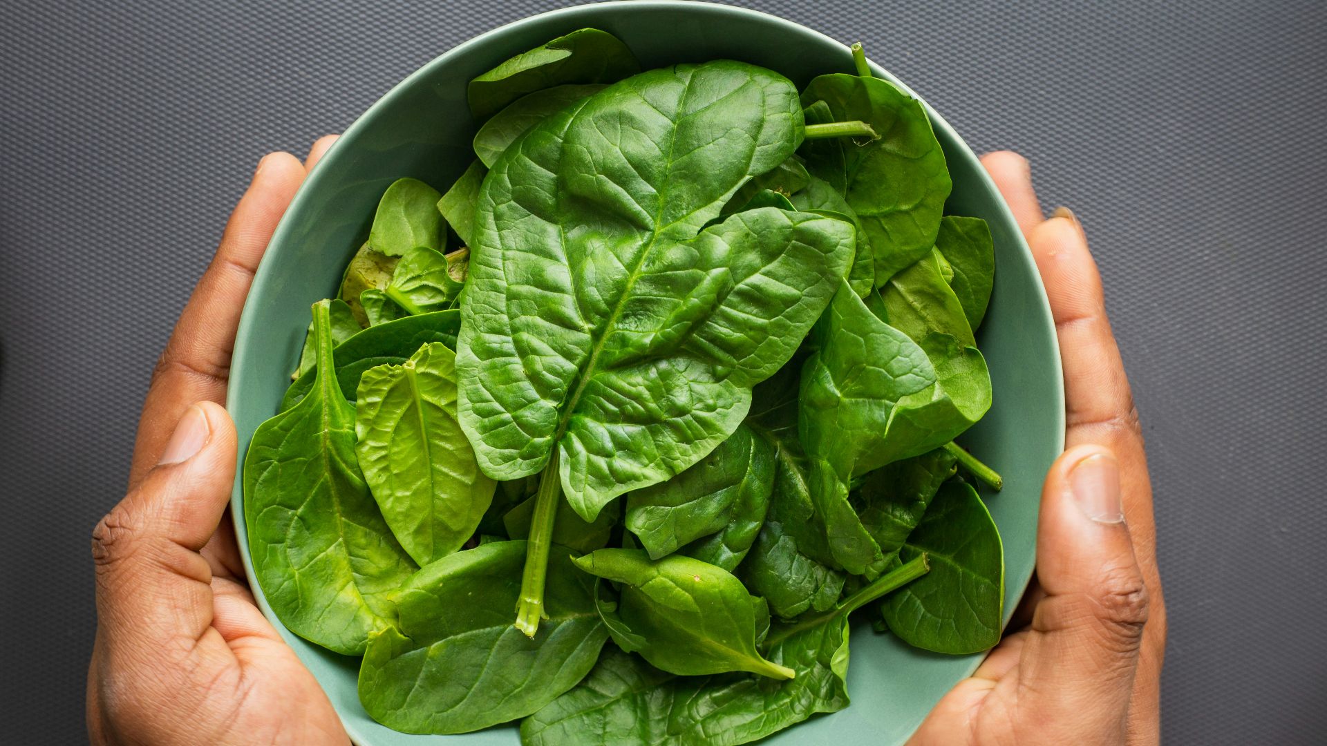 green leaves on blue plastic bowl