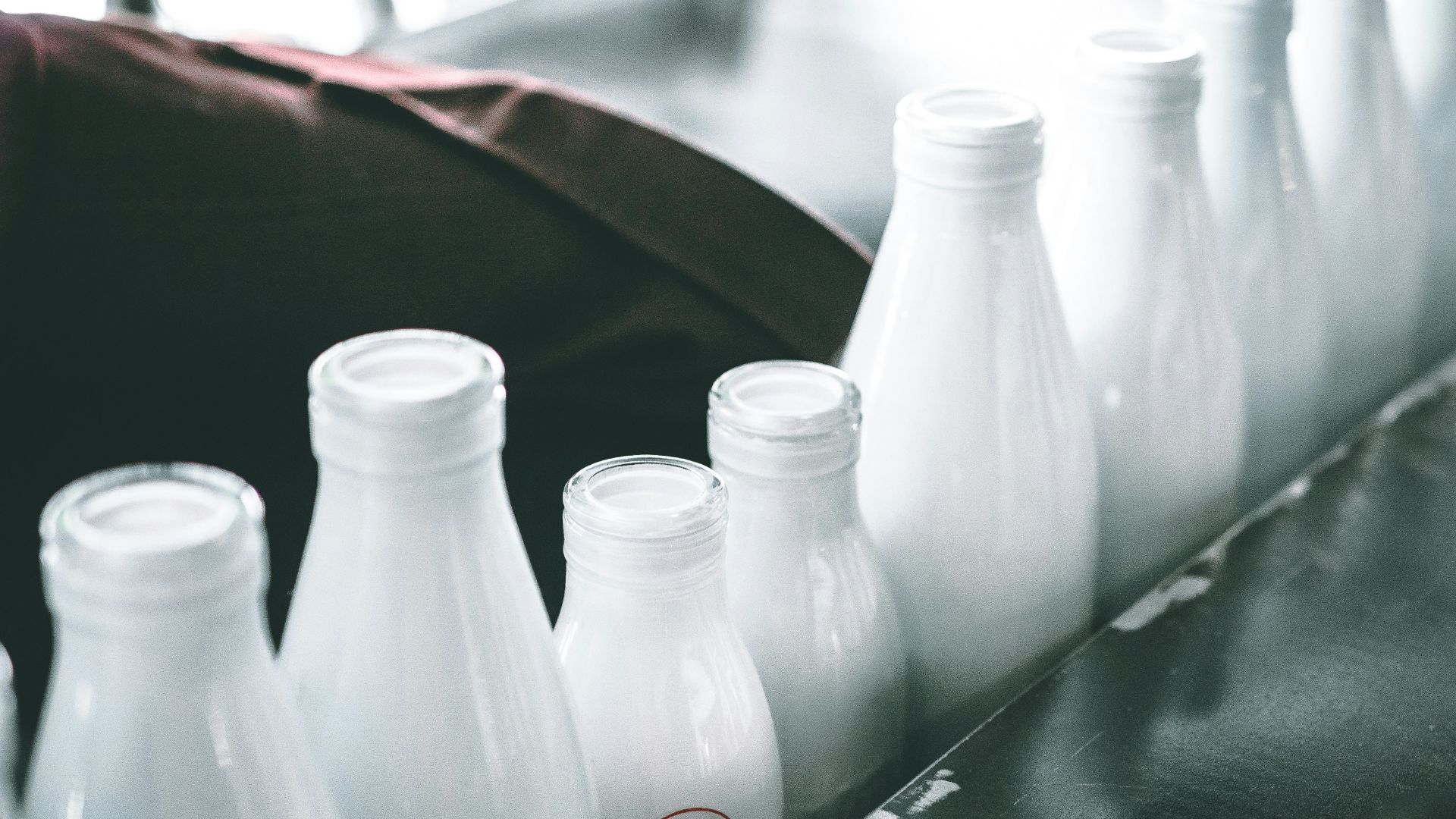 photo of milk bottle lot
