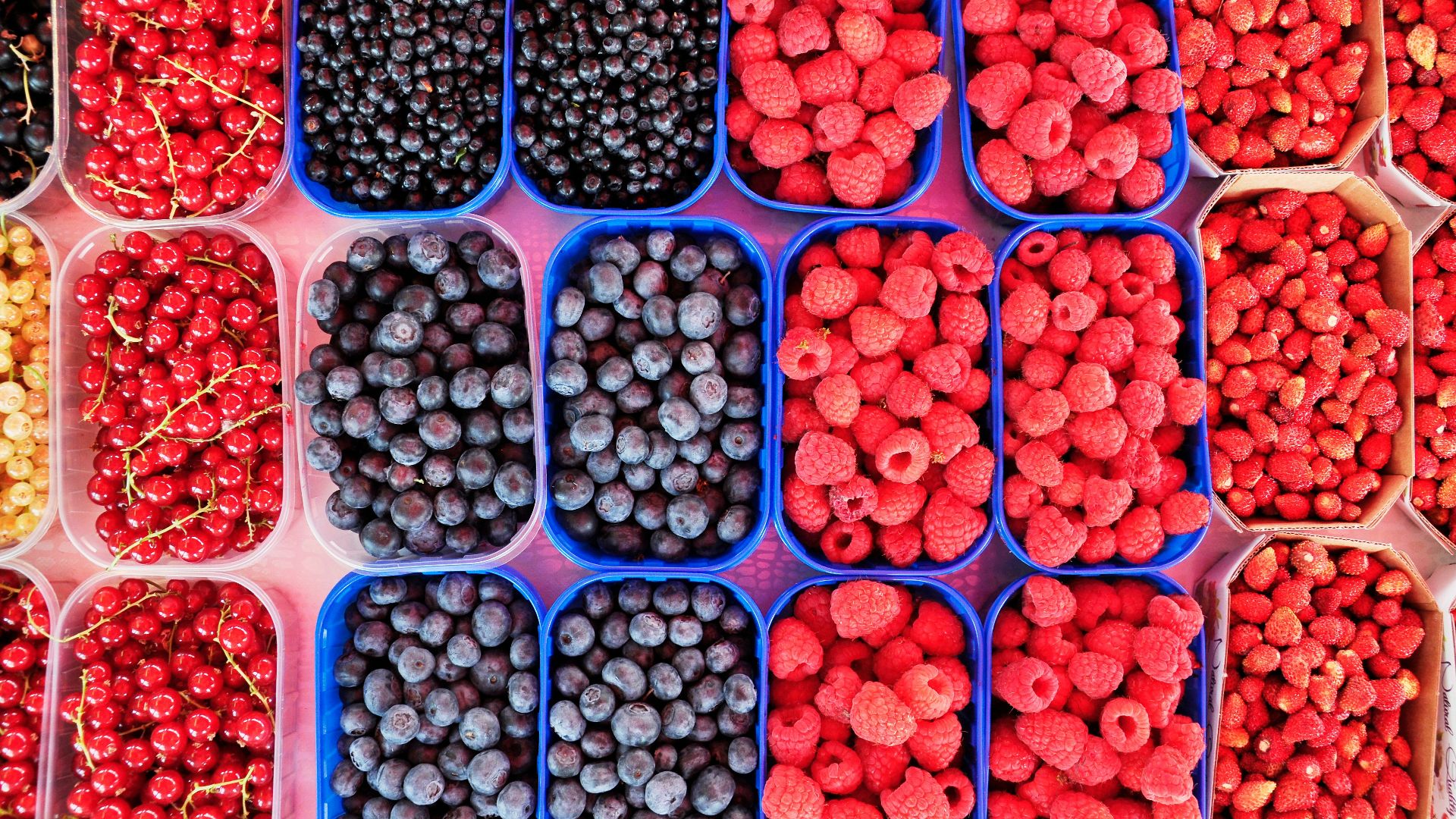 flat lay photography of boxes of berries