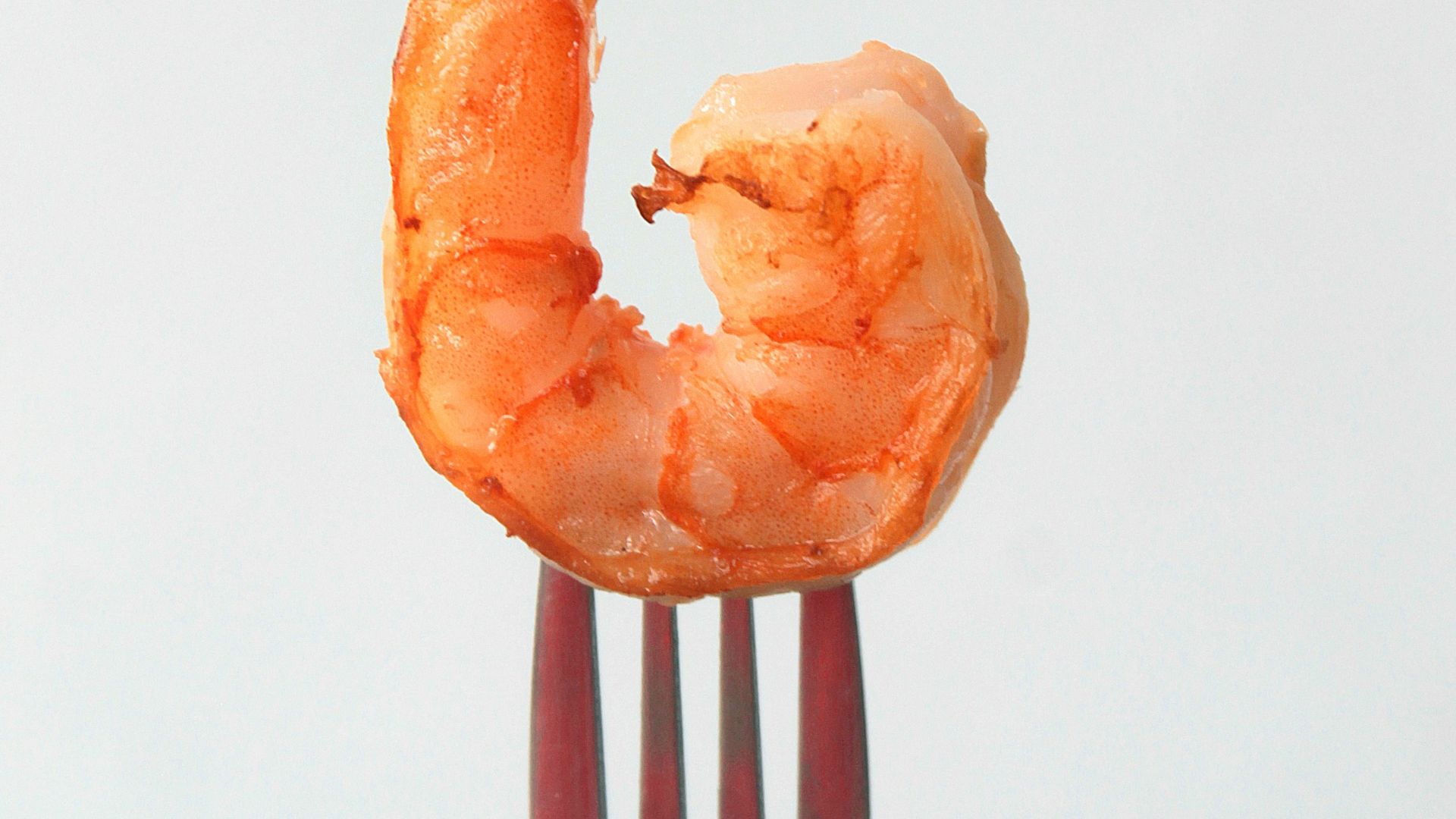 orange clay on stainless steel fork