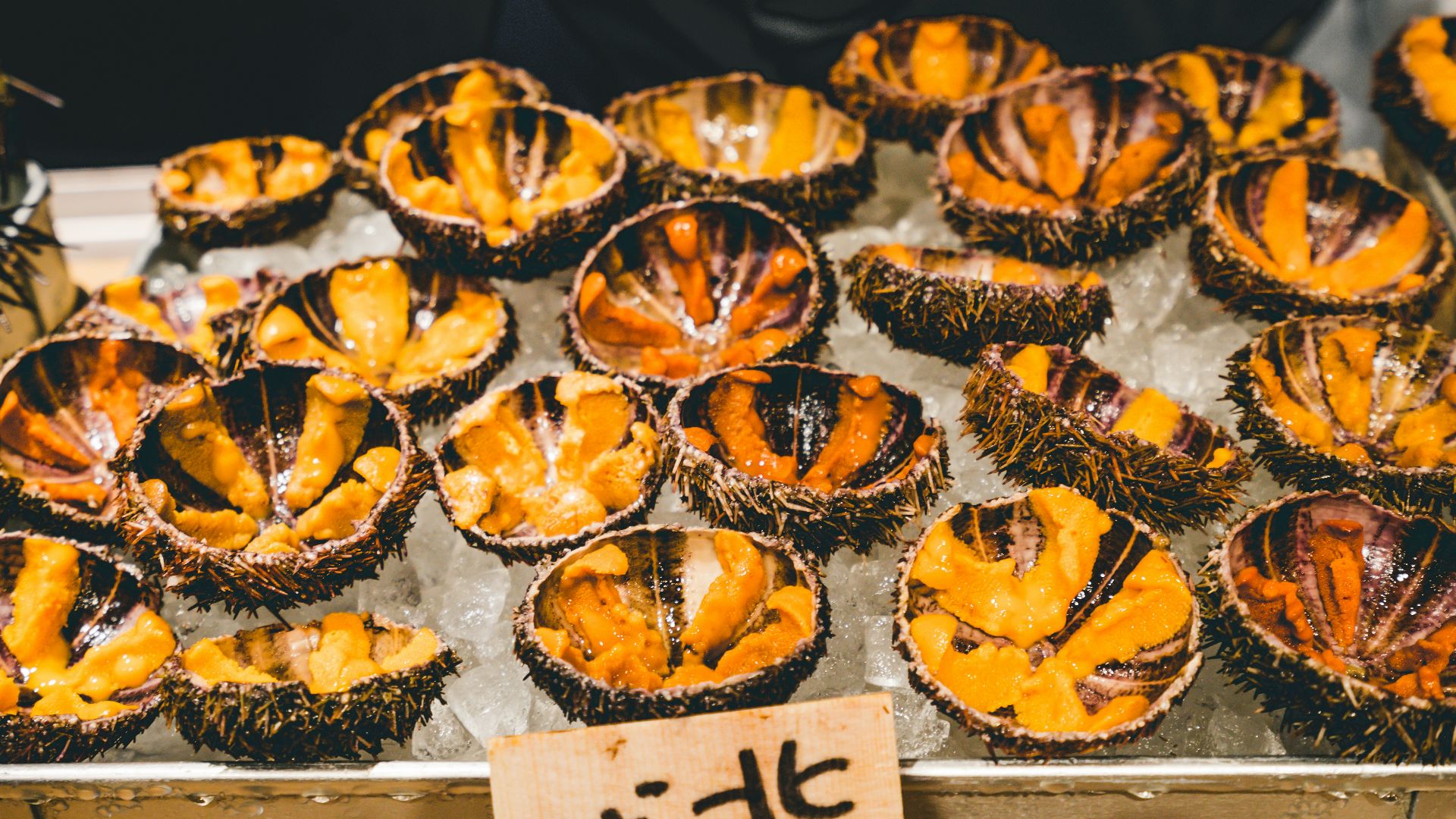 sea urchins on ice