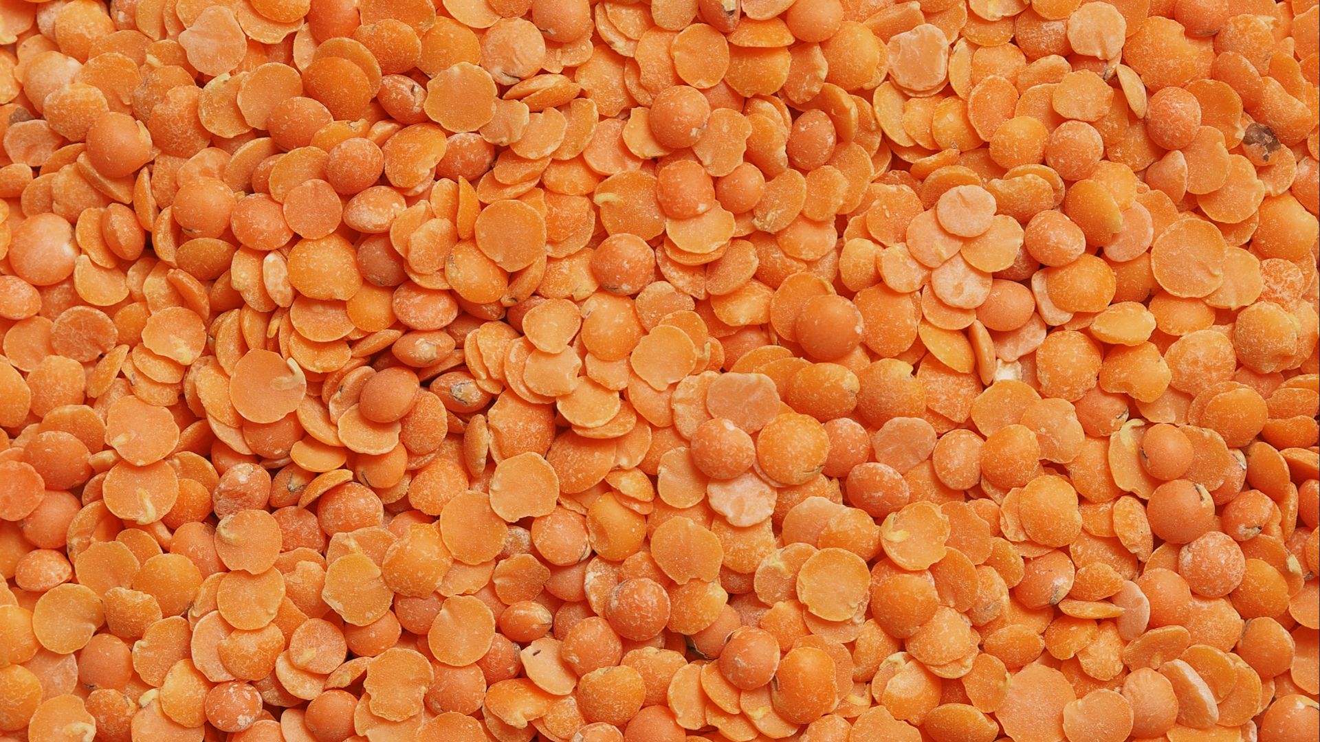 brown and black dried leaves