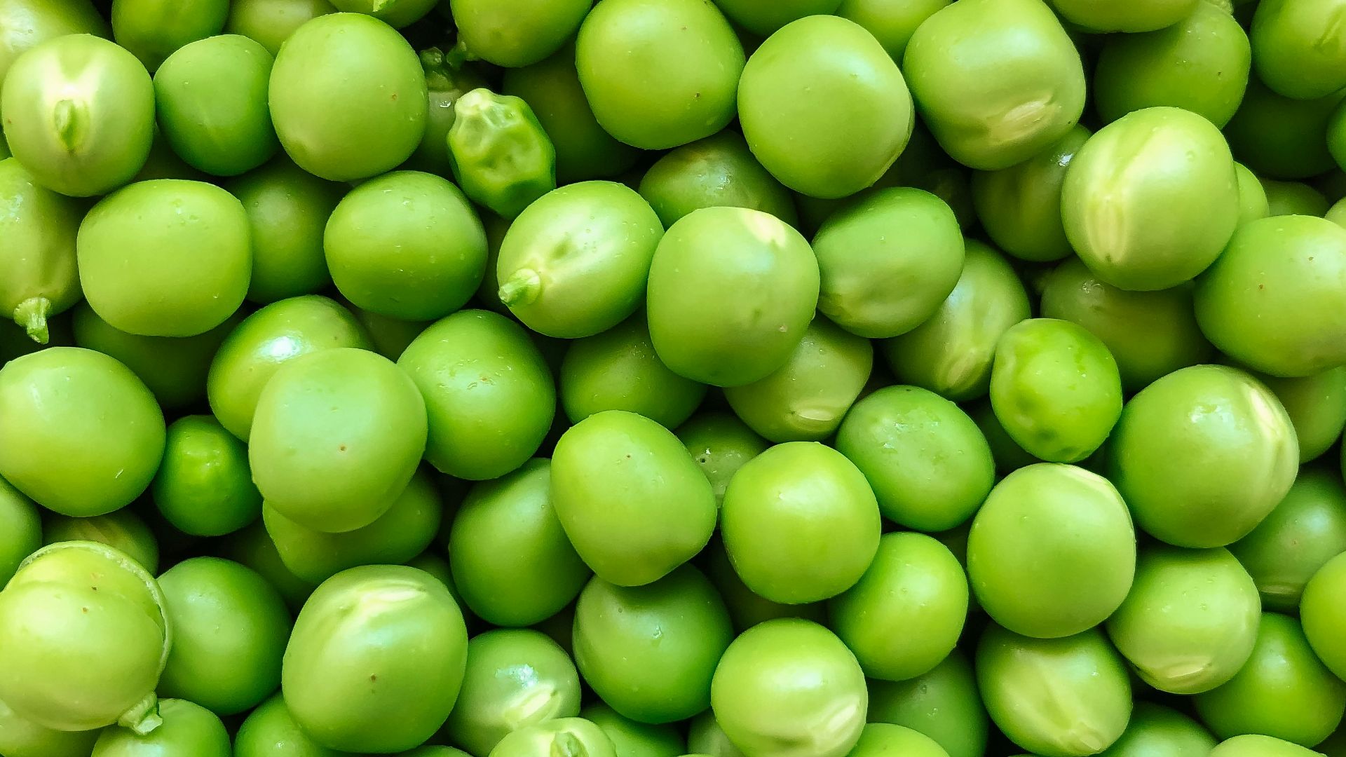 green round fruits in close up photography