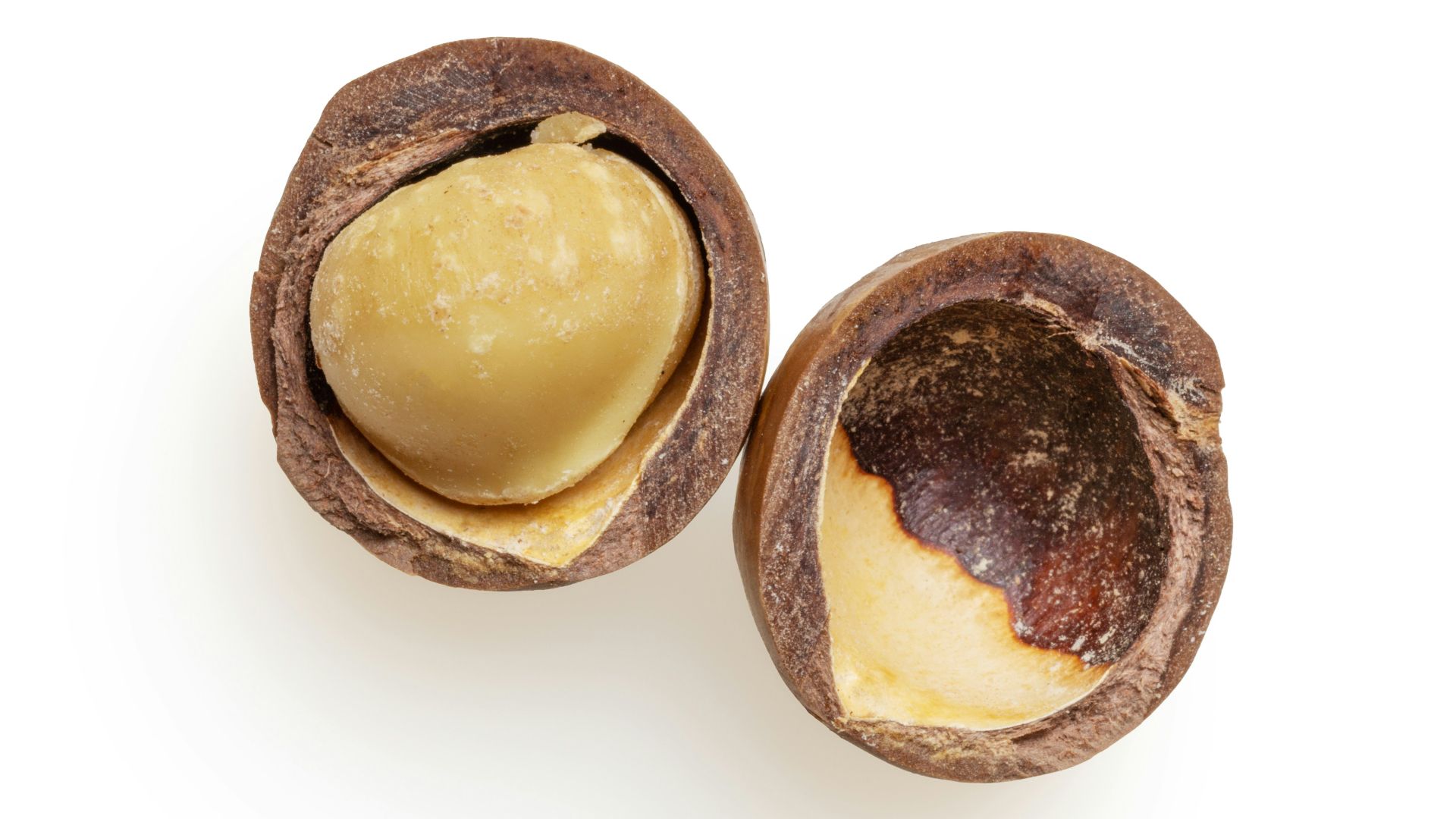 two brown bread on white surface