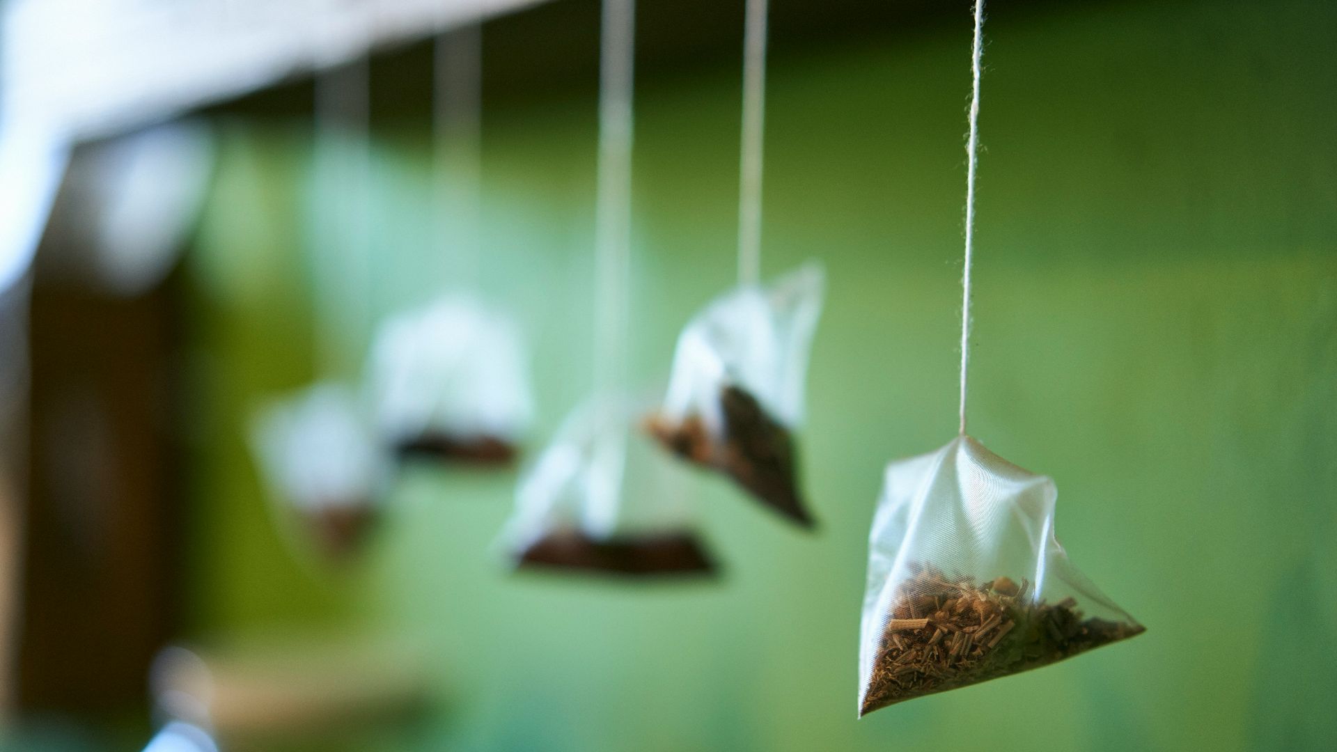 white and brown bird feather on white string