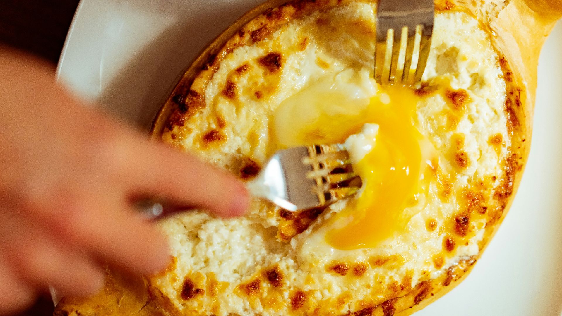 a person holding a fork over a plate of food