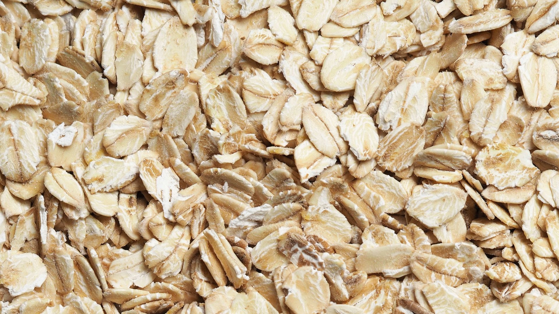 brown dried leaves on ground