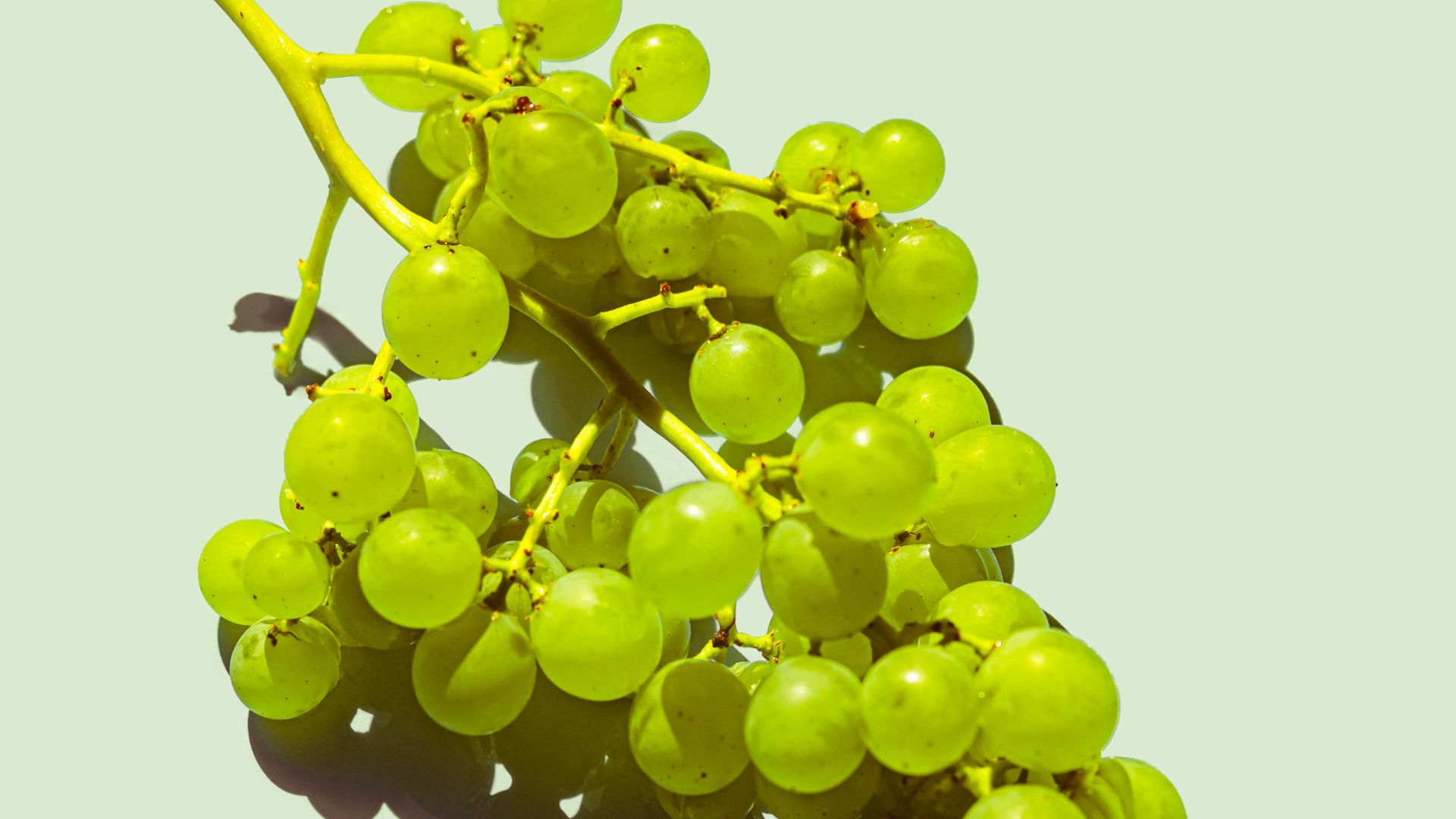 a bunch of green grapes sitting on top of a table
