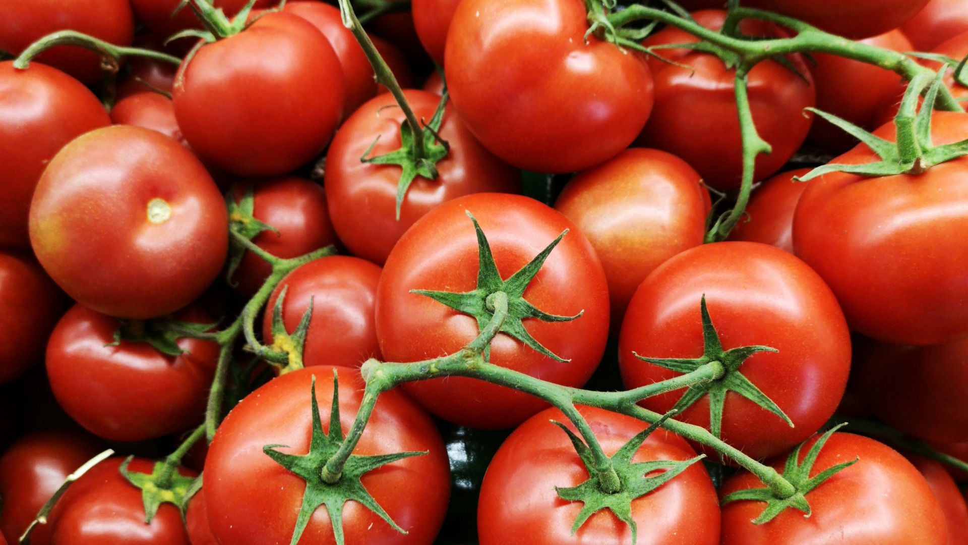 red tomatoes on brown wooden table