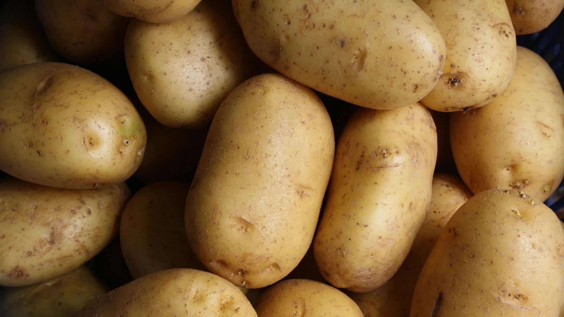 brown potato lot