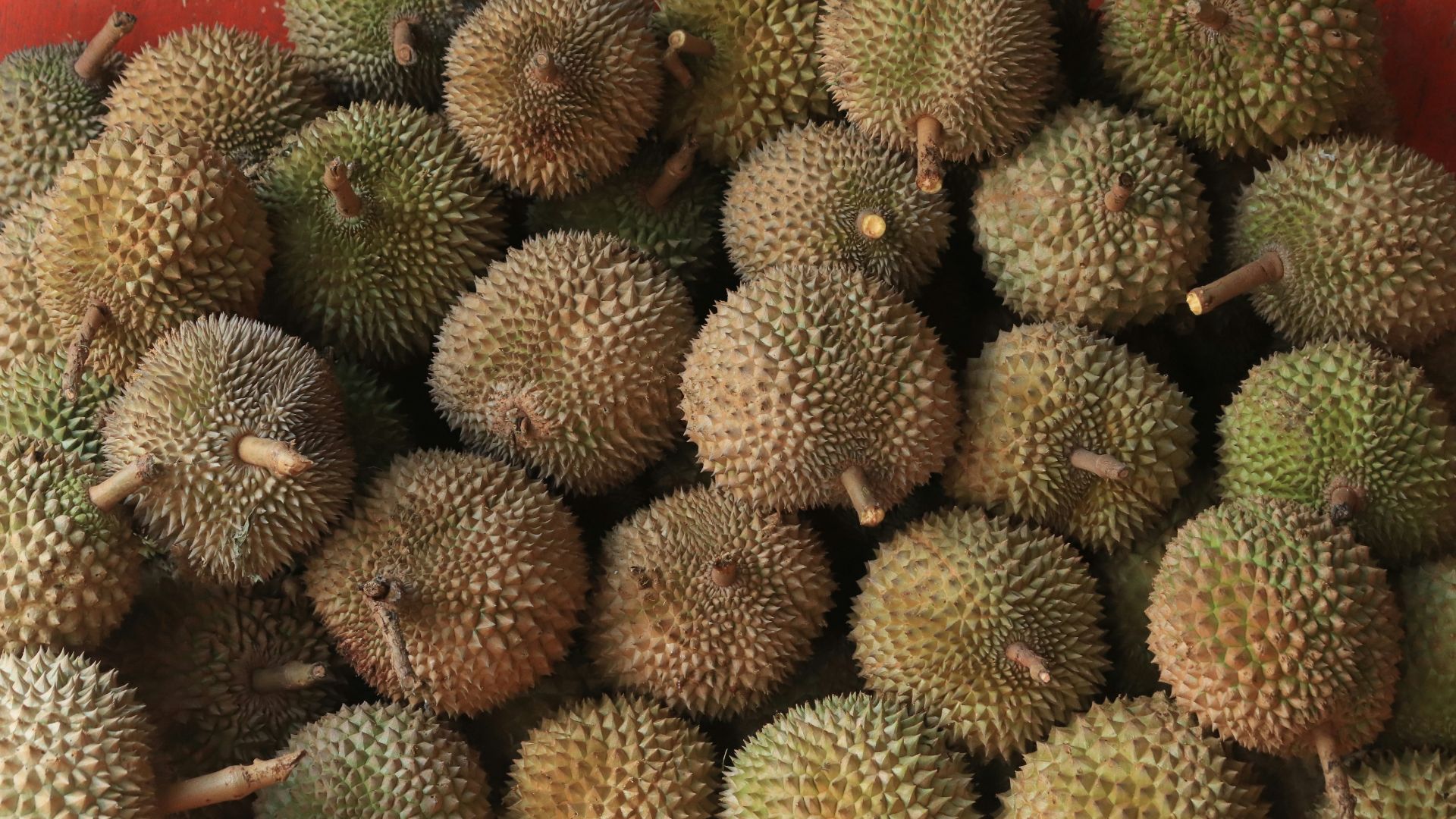 a pile of fruit sitting on top of a table