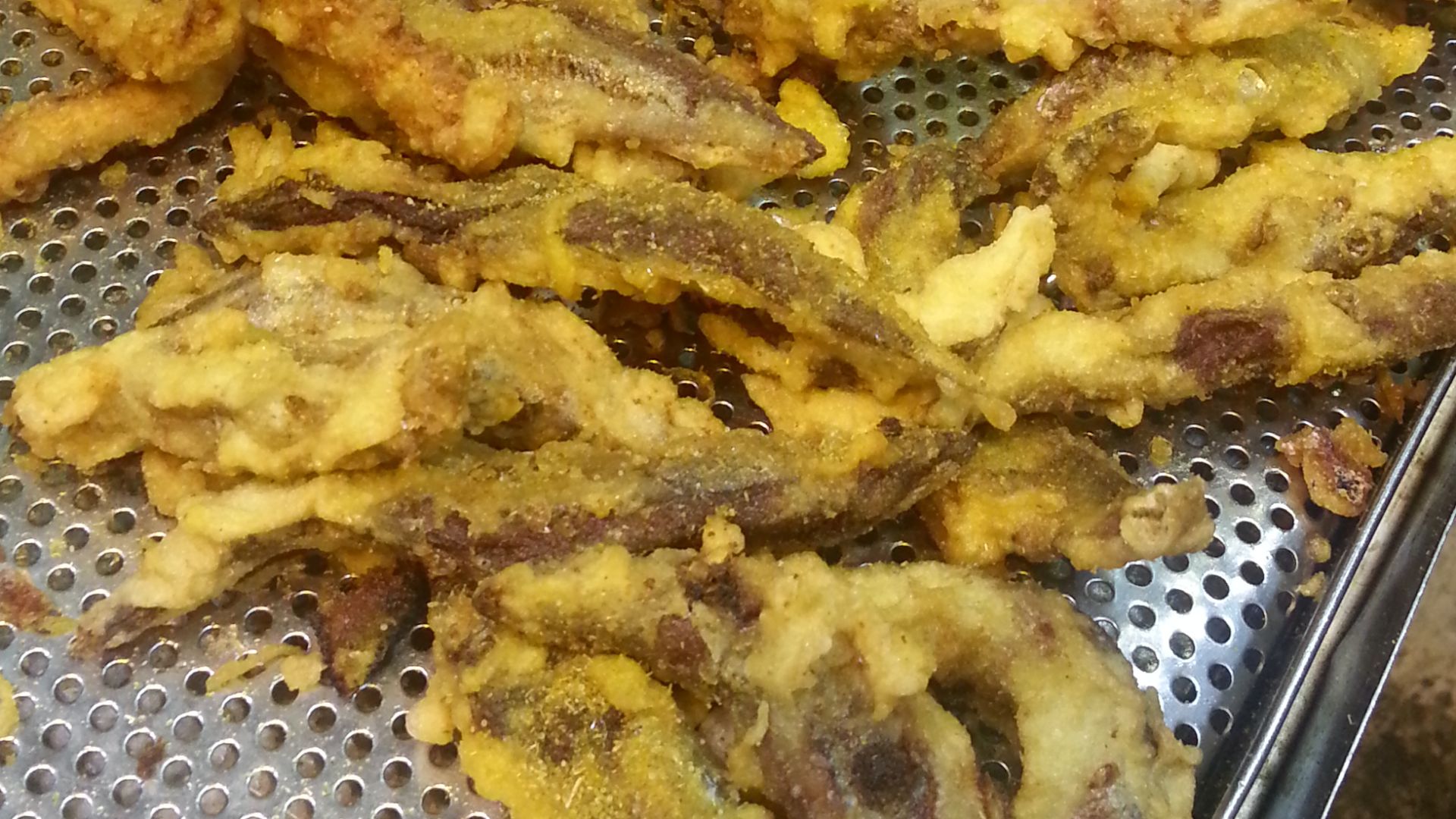 File:Squid Tentacle.jpg