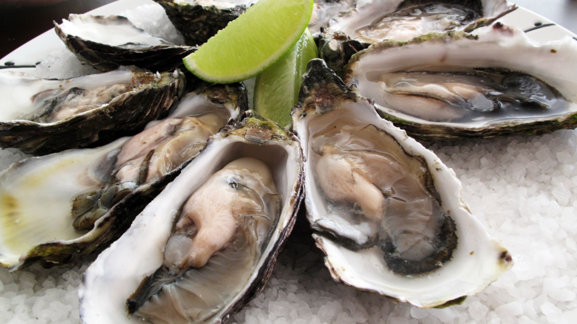 File:Pacific oysters.jpg