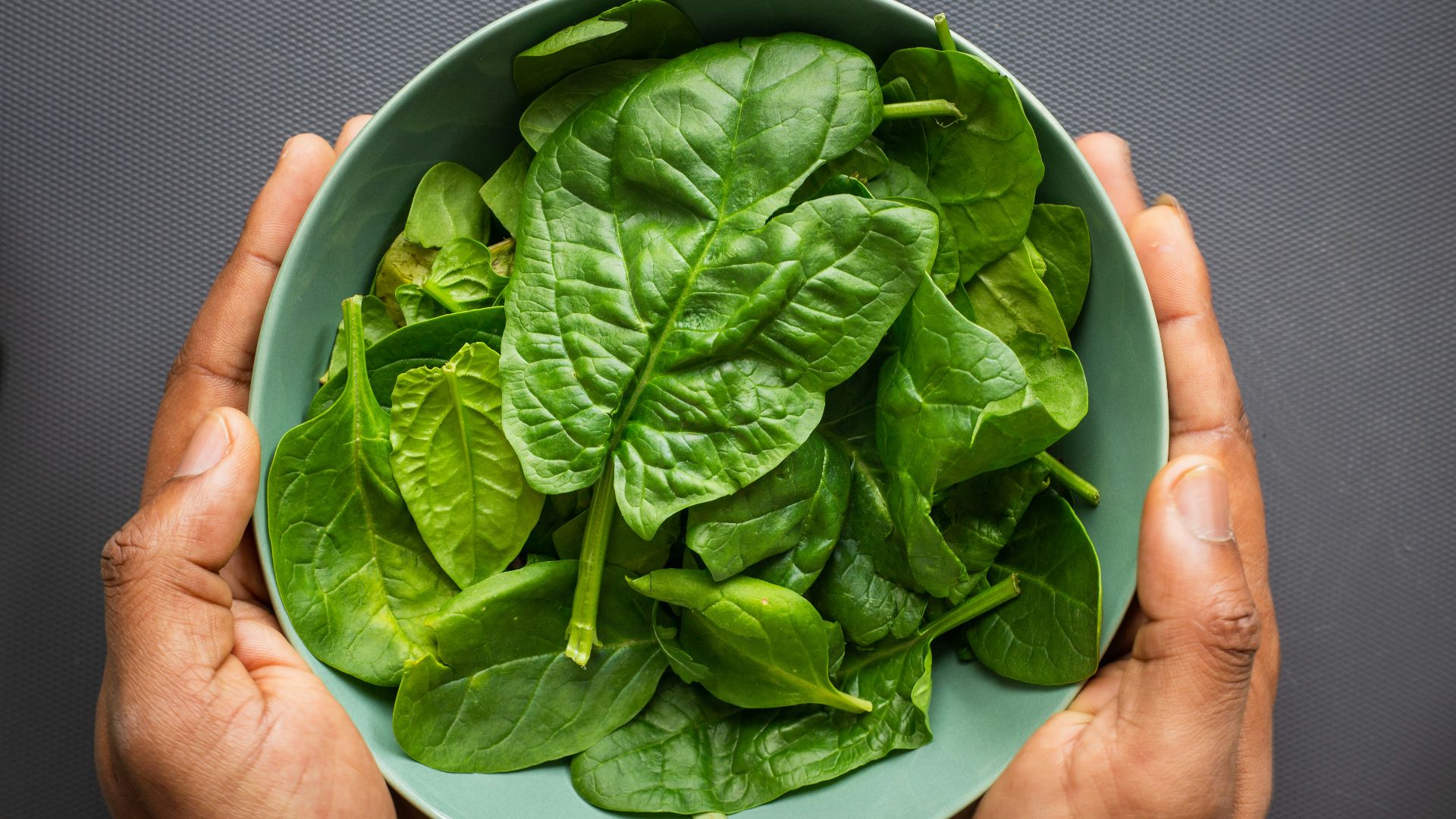 green leaves on blue plastic bowl