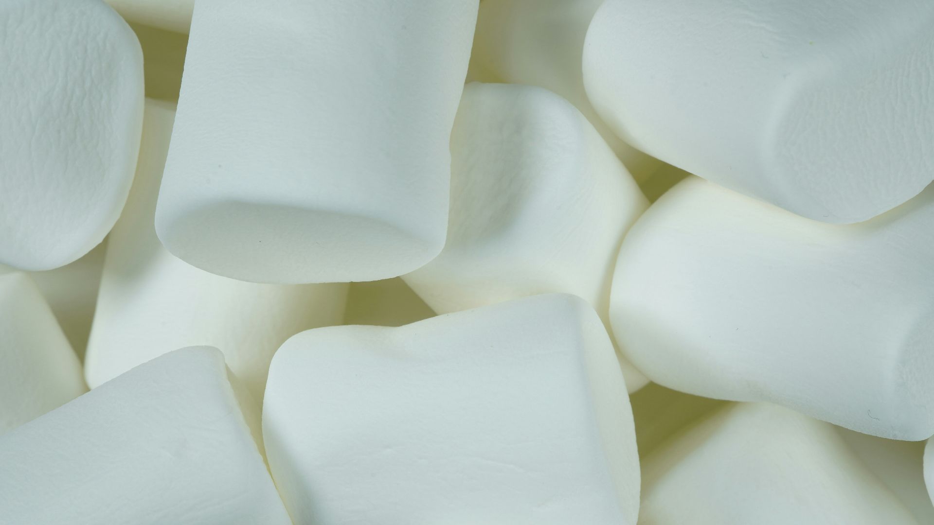 white plastic egg tray lot