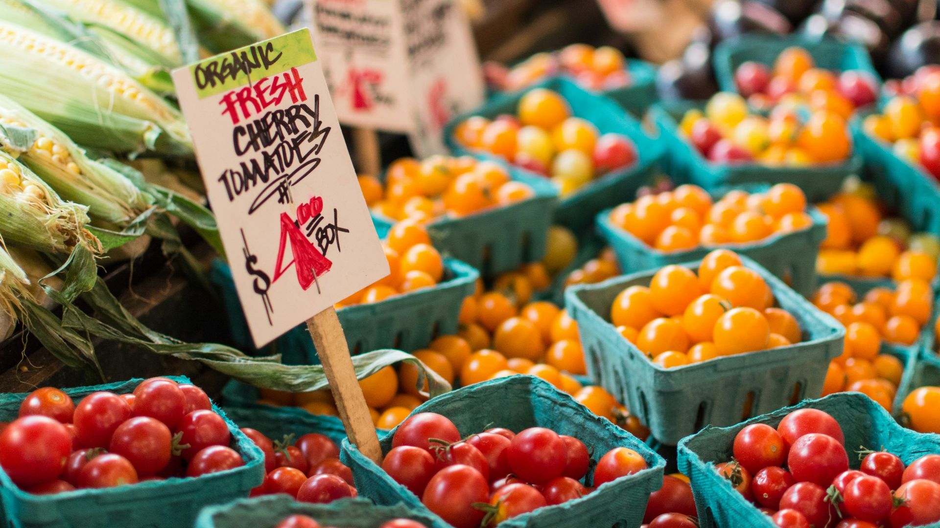 red tomato lot on blue baskets