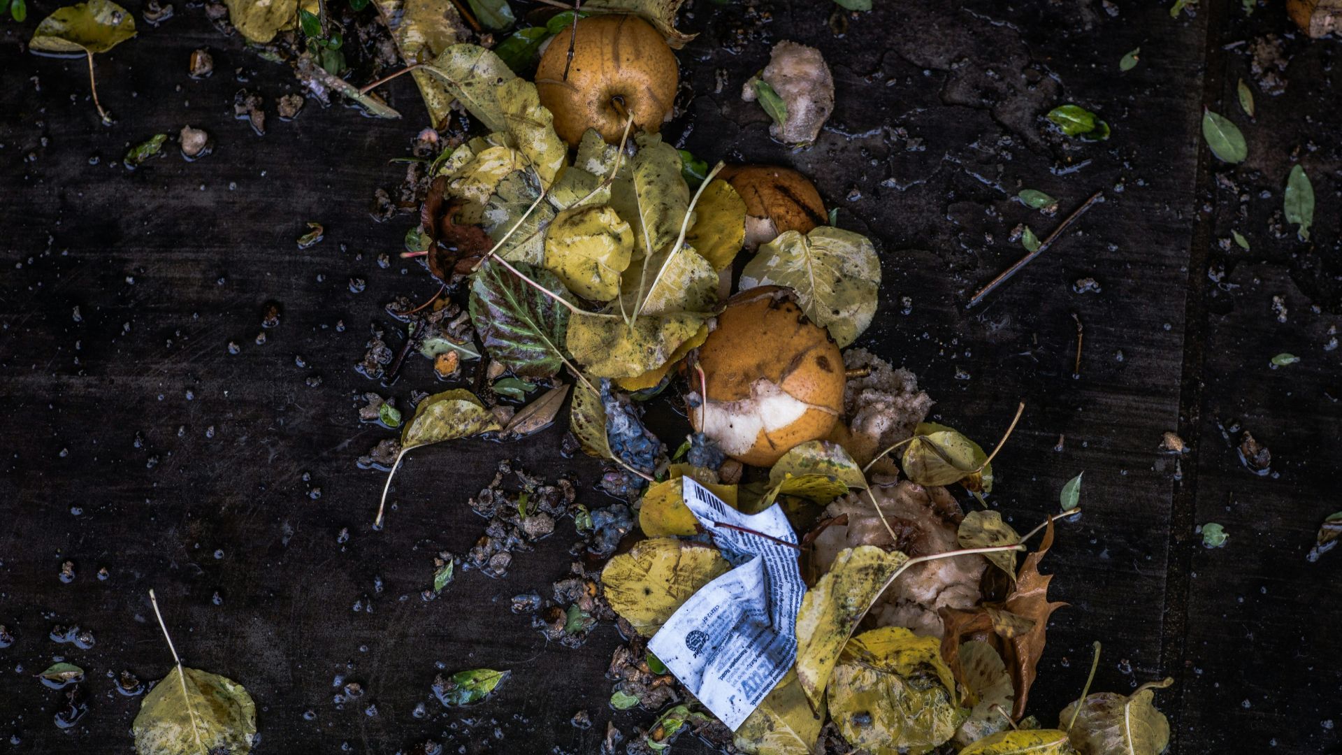 photo of leaves and fruits on black surface