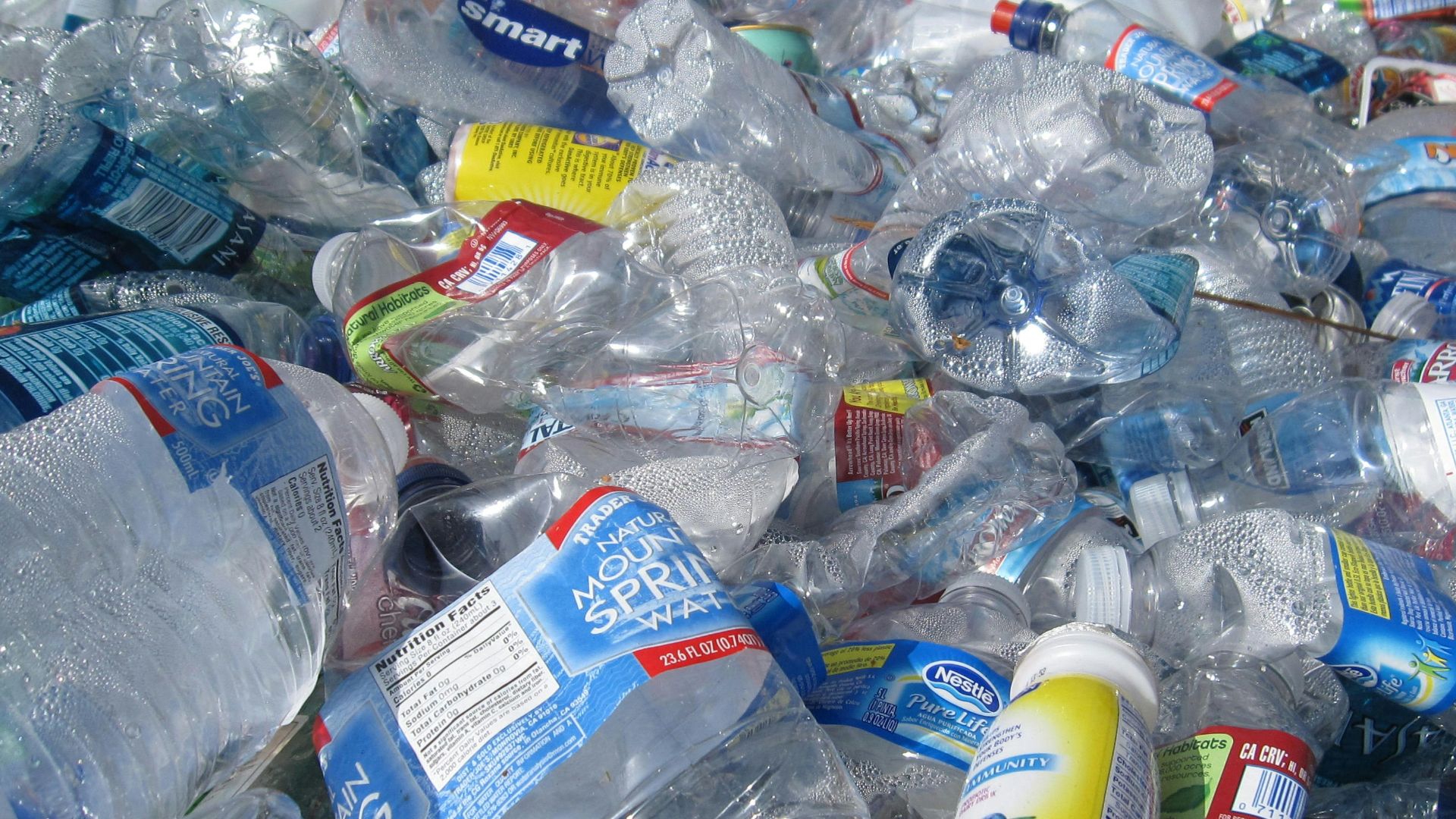 blue labeled plastic bottles