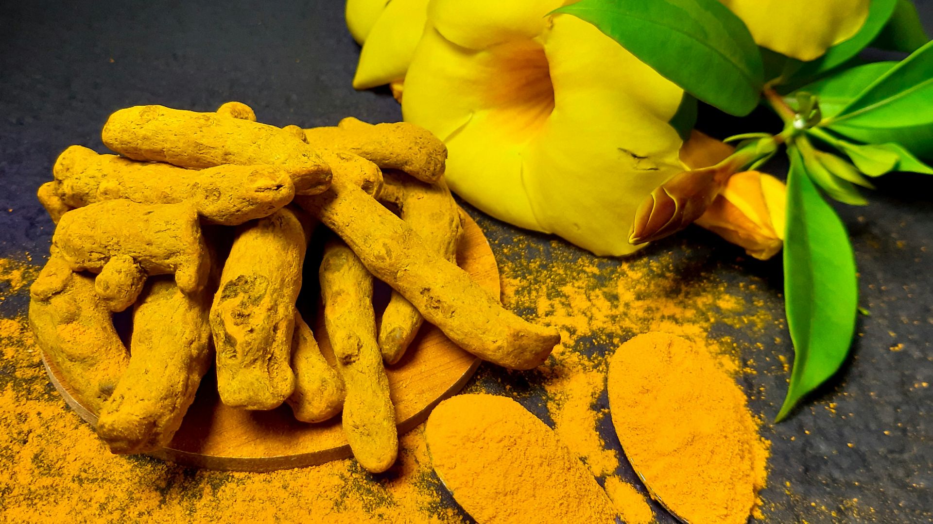 yellow flower on gray surface