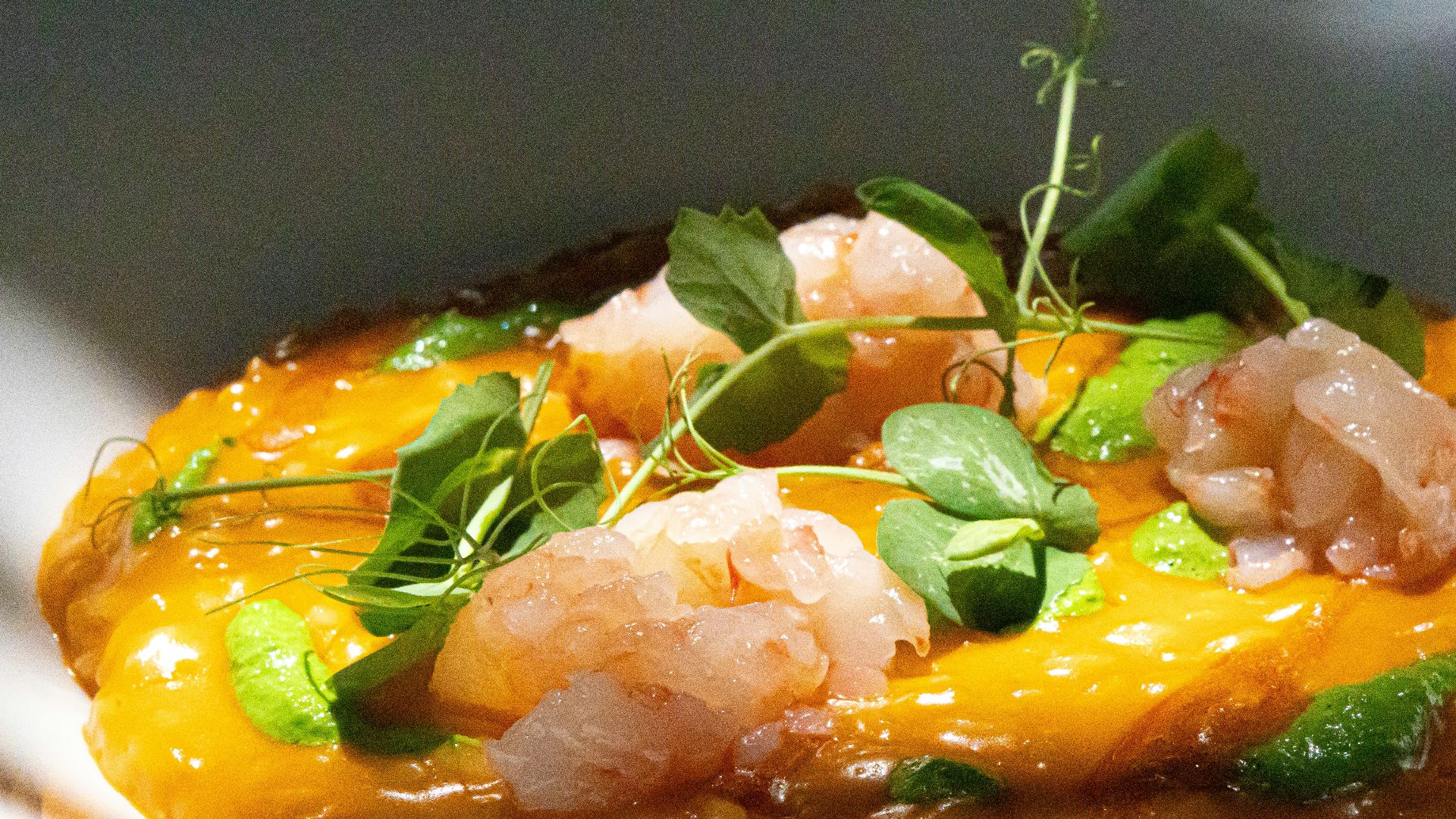 Shrimp and greens sit atop a creamy orange dish.