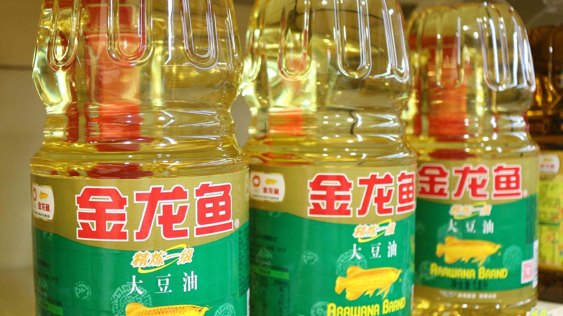 a row of bottles of oil sitting on a shelf