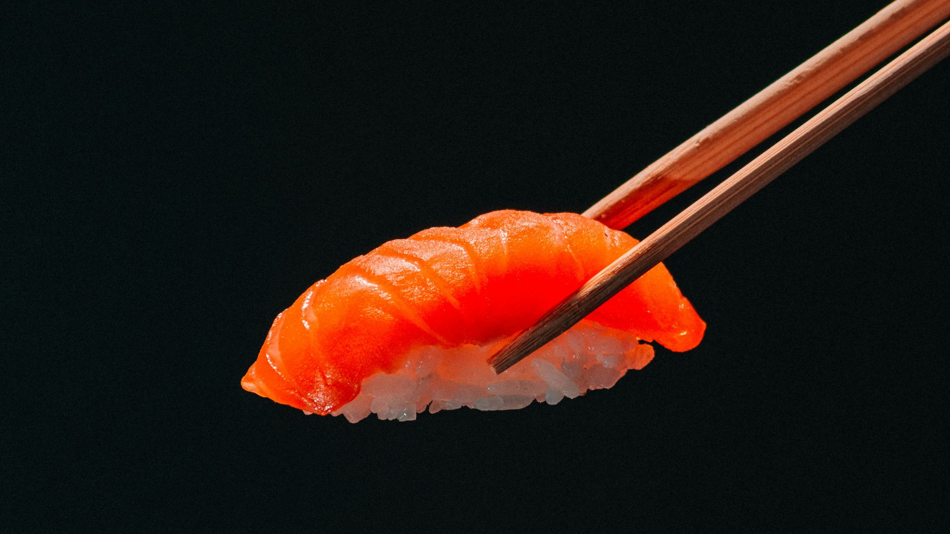 orange flower with black background