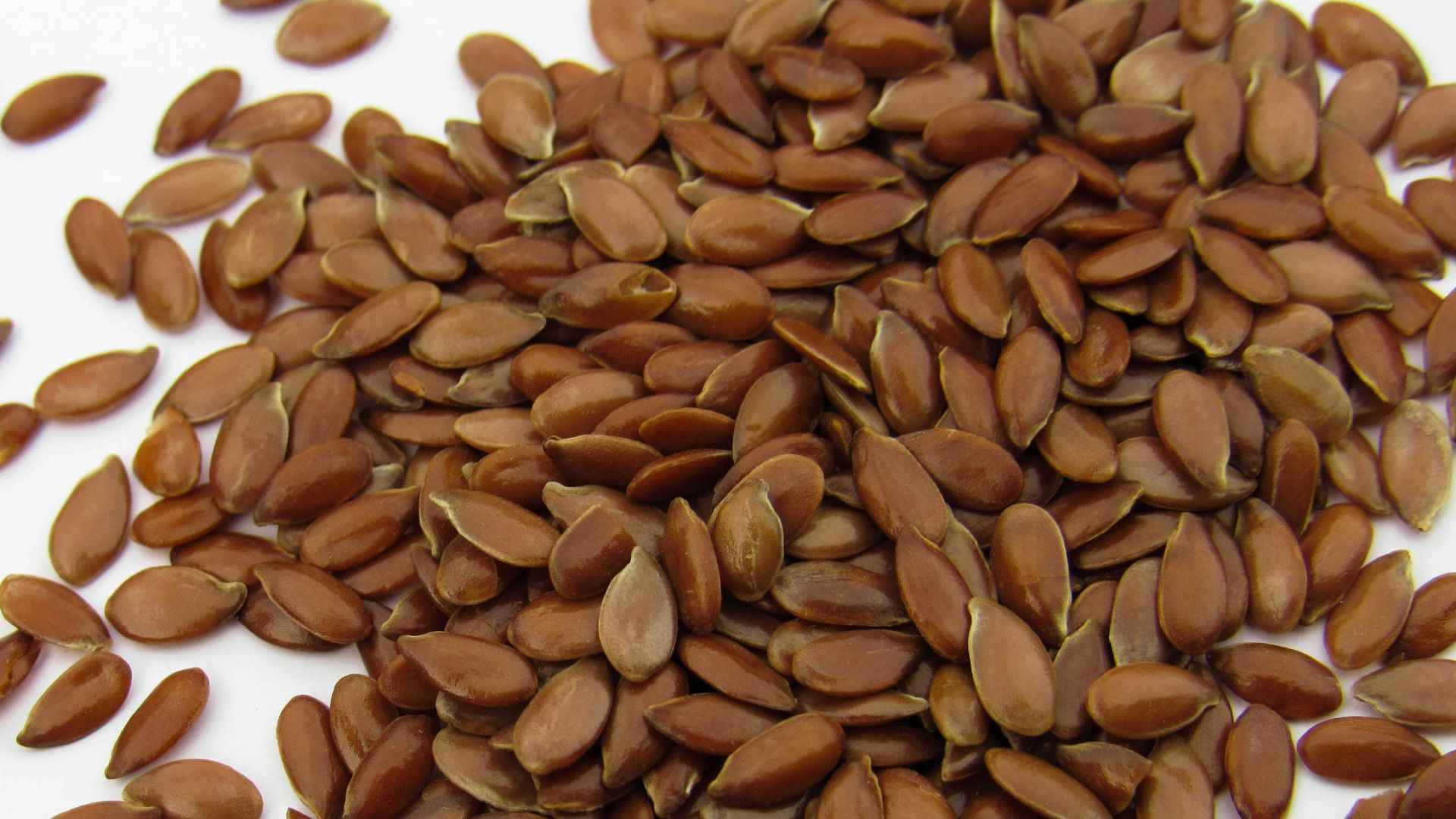 a pile of sunflower seeds on a white surface