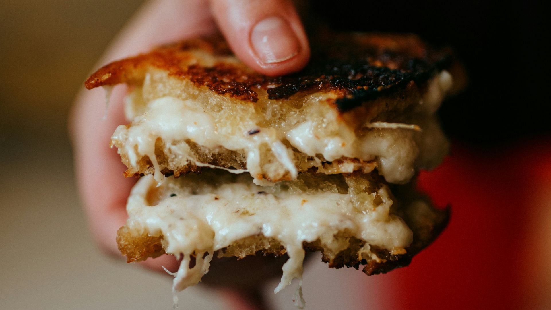 person holding brown and white bread